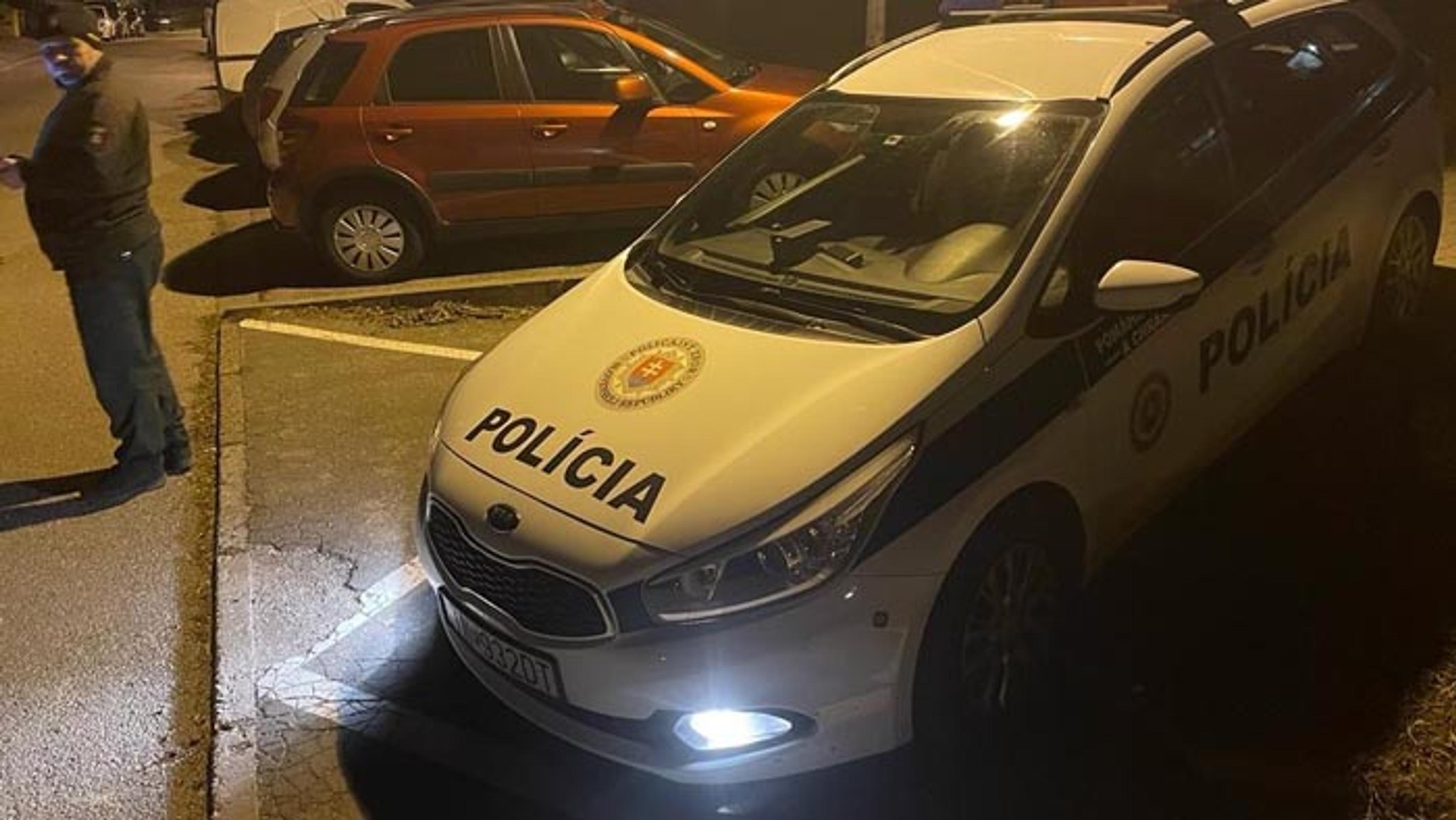 Útok psa v Trenčíne.