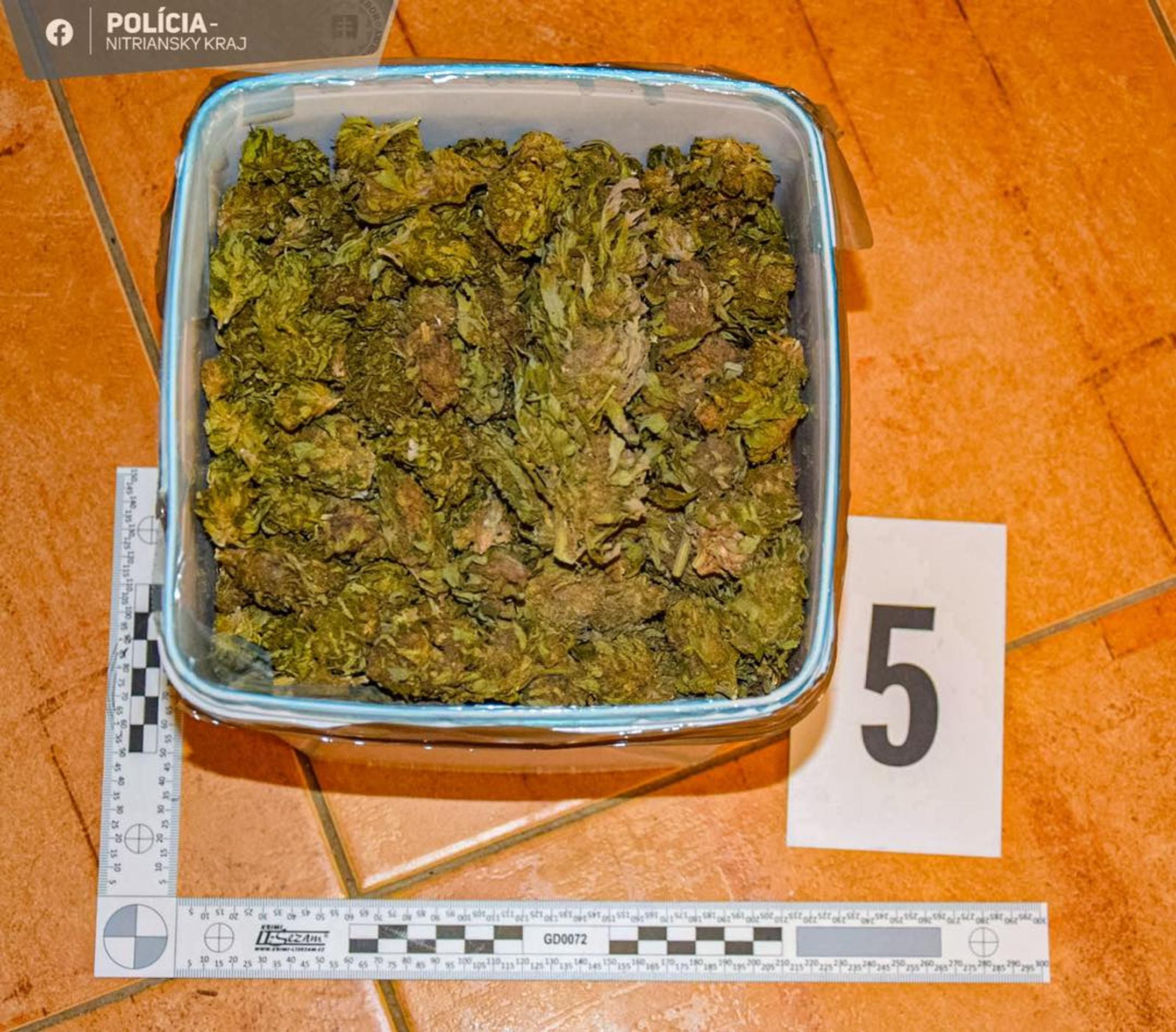 Čo zaistili policajti