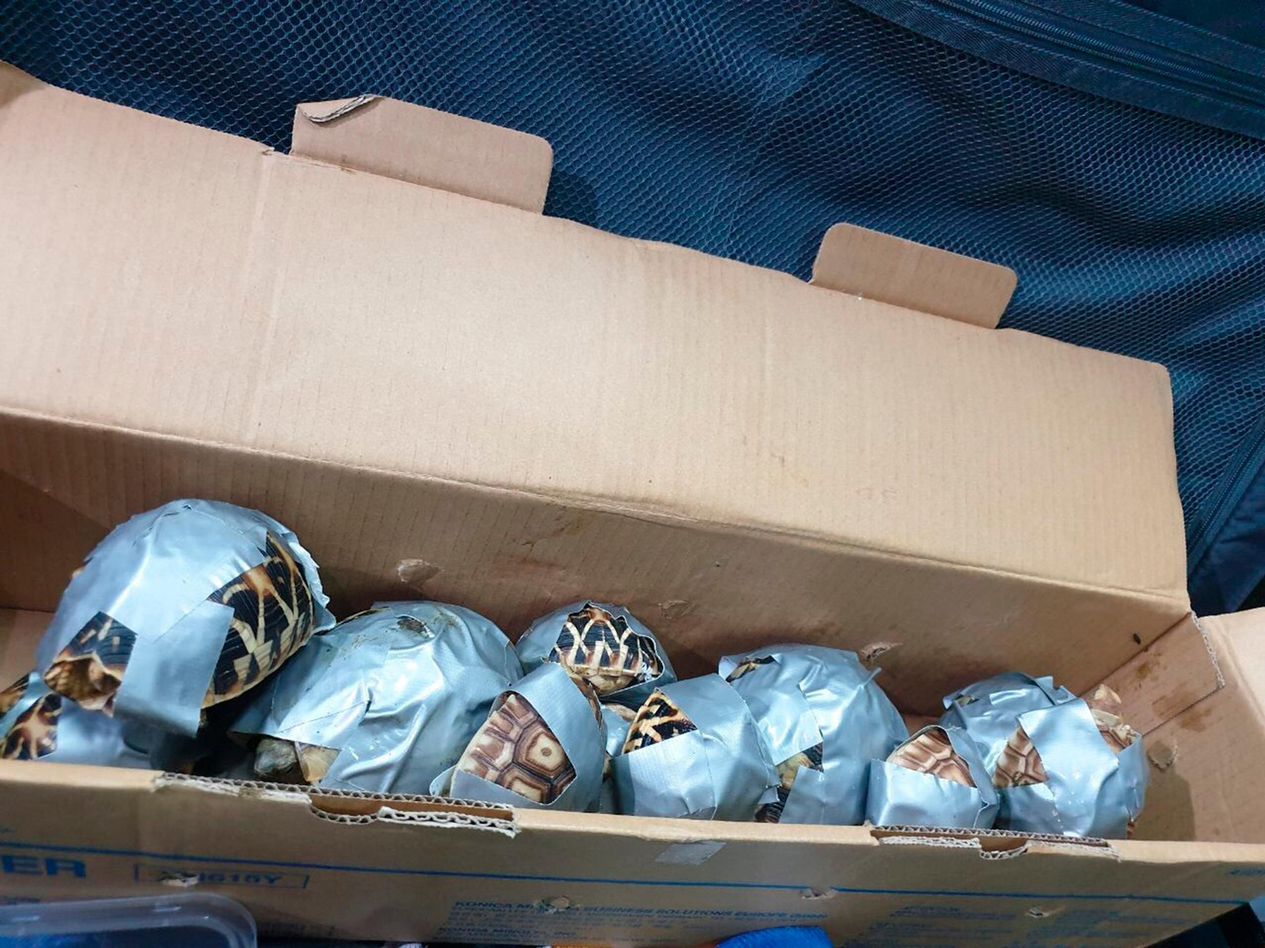 Nehoda dvoch vlakov v Česku