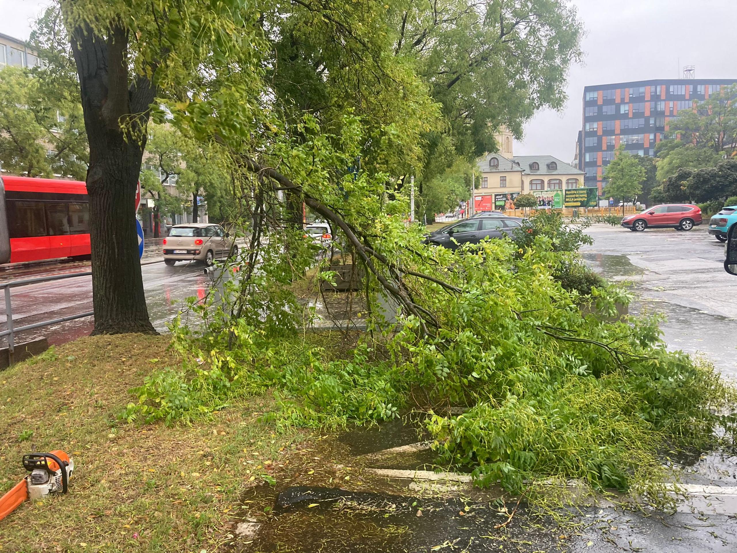 Popadané stromy v bratislavskom Novom Meste.