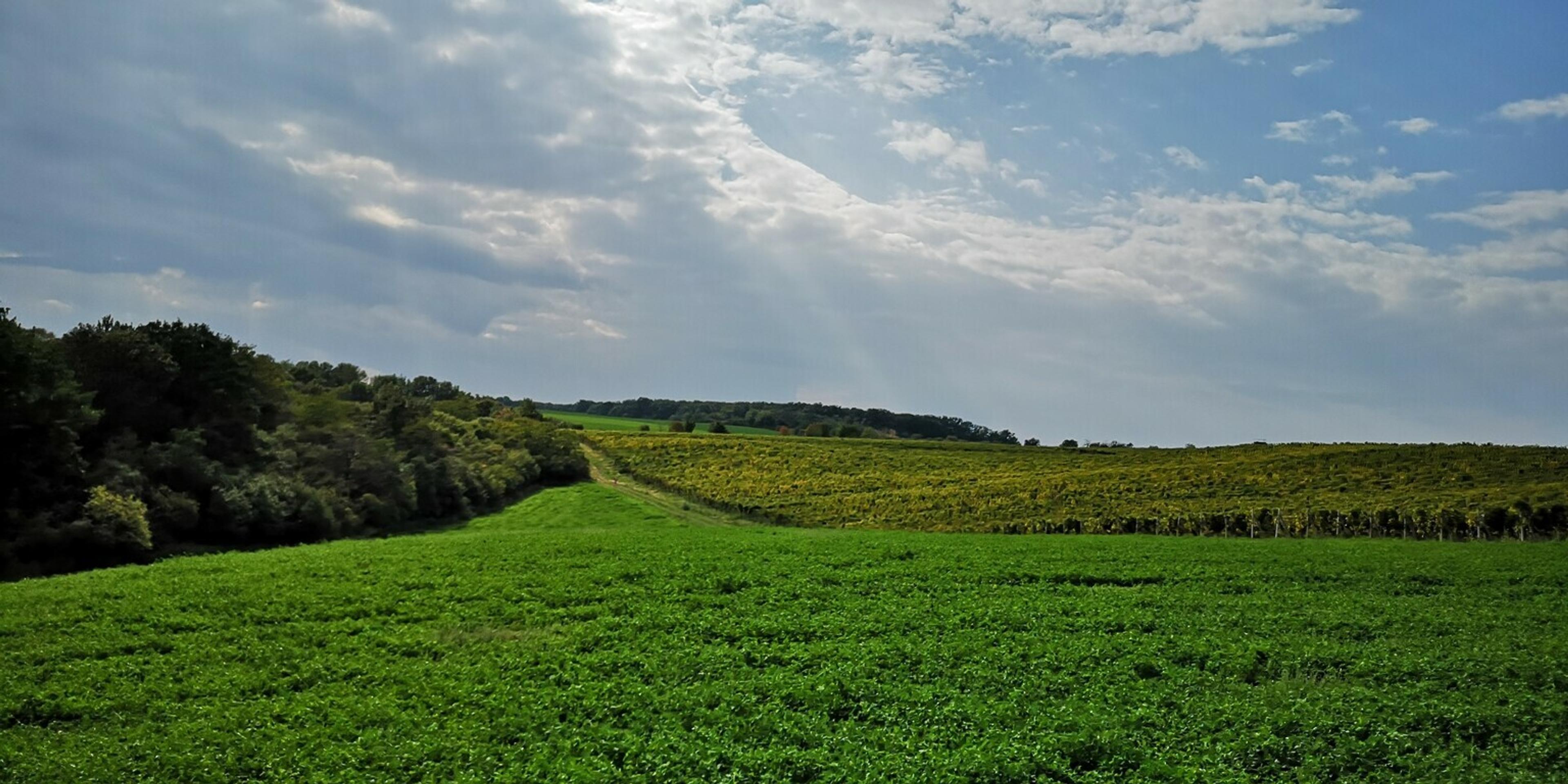 turecko_tvnoviny.mp4