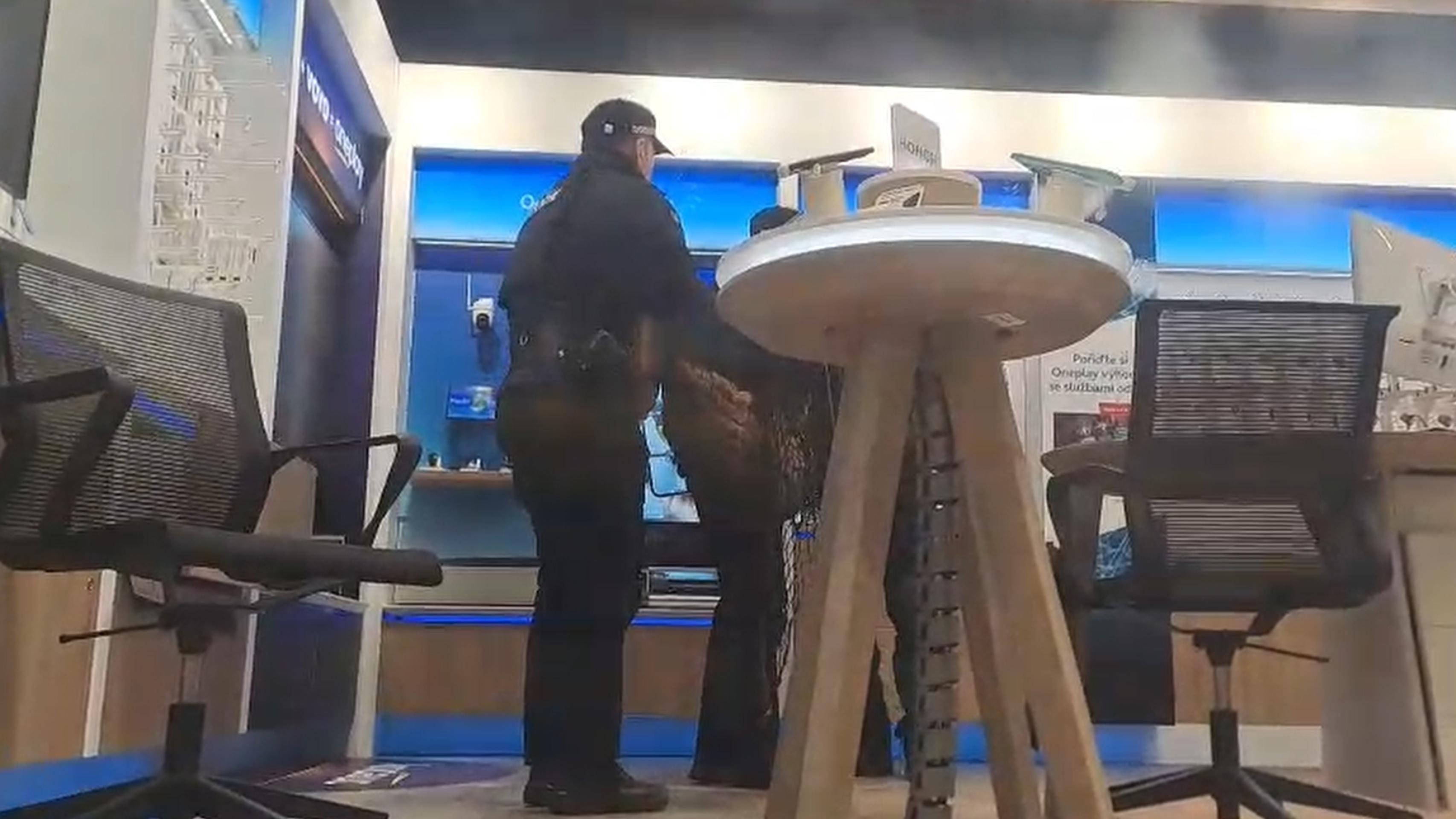 Do pardubického obchodného domu vošla srnka