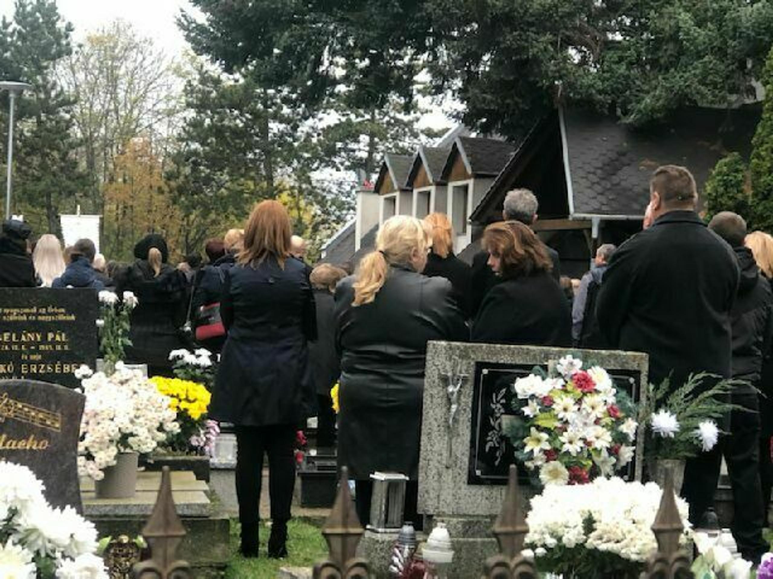 kaskader_tvnoviny.mp4