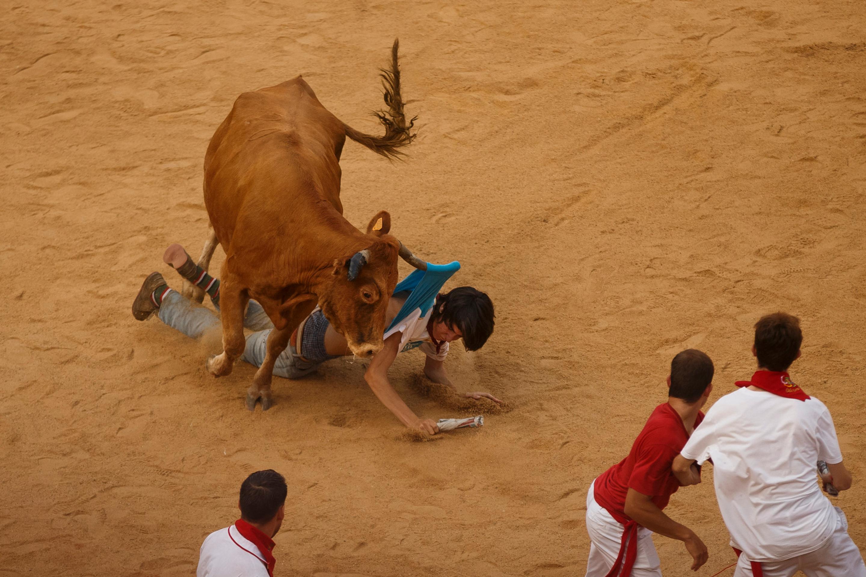 Býky na tradičnom behu v Pamplone zabíjali.