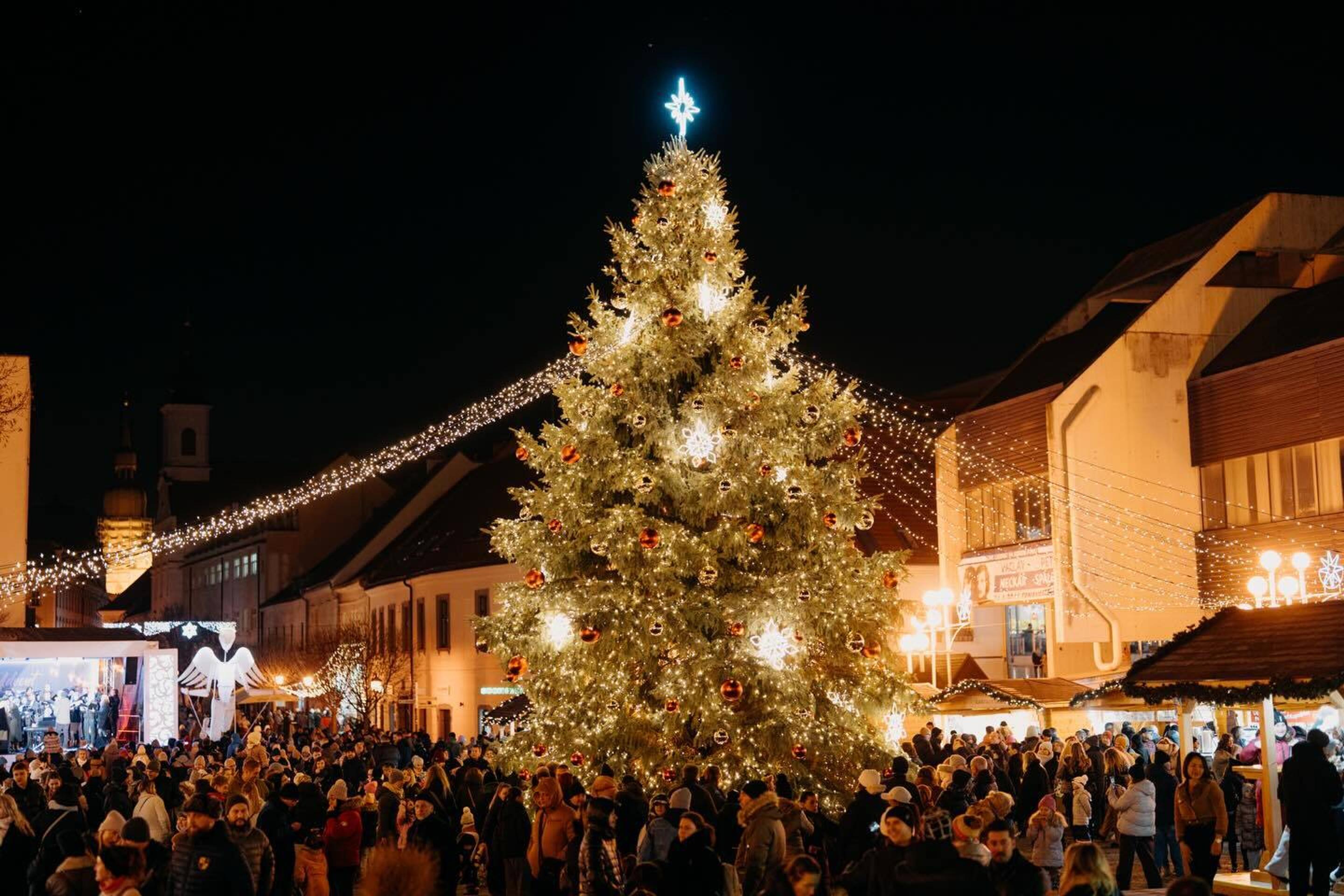 Stromček na námestí v Trnave