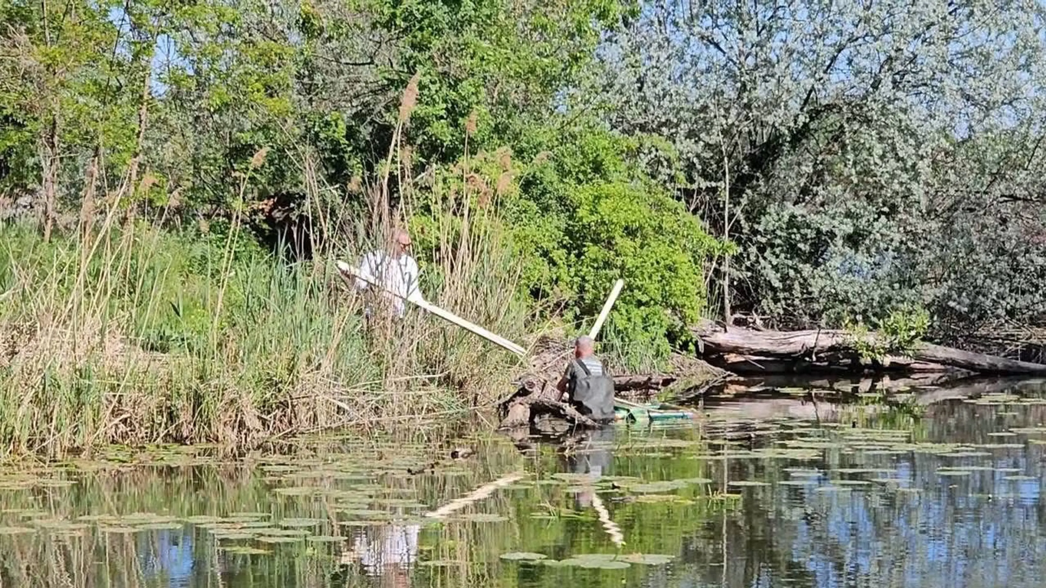 Nebezpečné korytnačky sa šíria pri Dunaji.