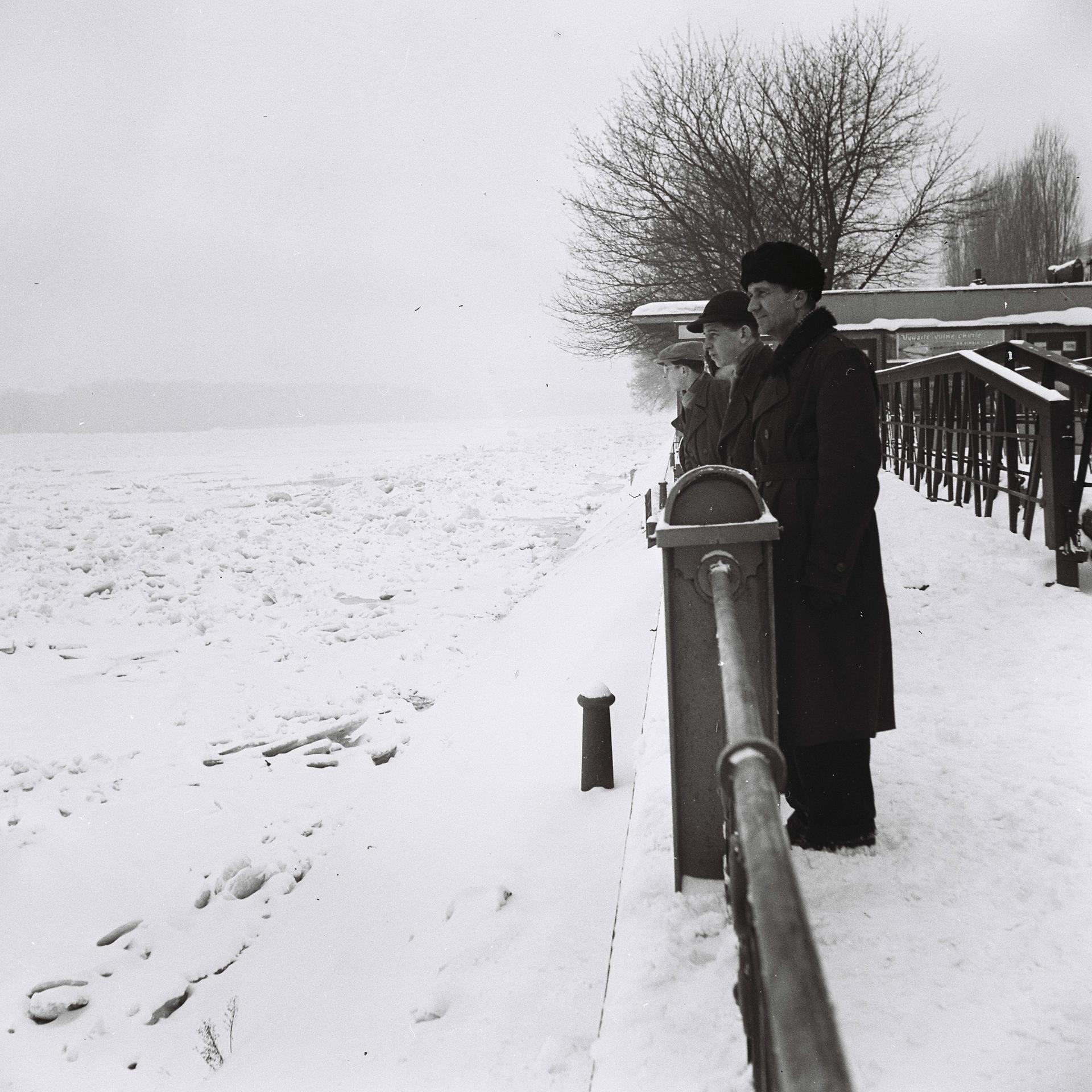 Zamrznutý Dunaj počas zimy v roku 1956.