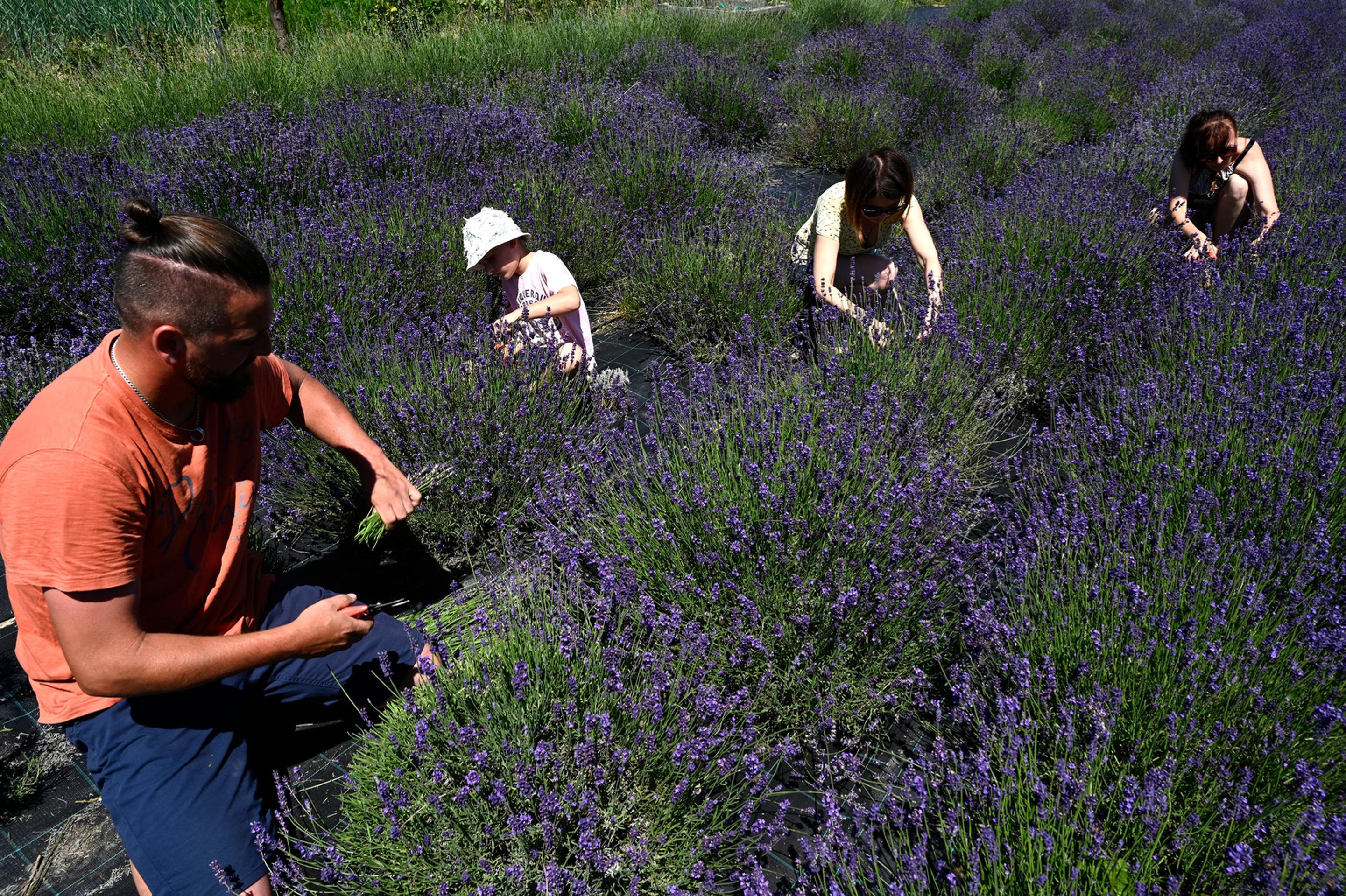 Cennet: 63. epizóda