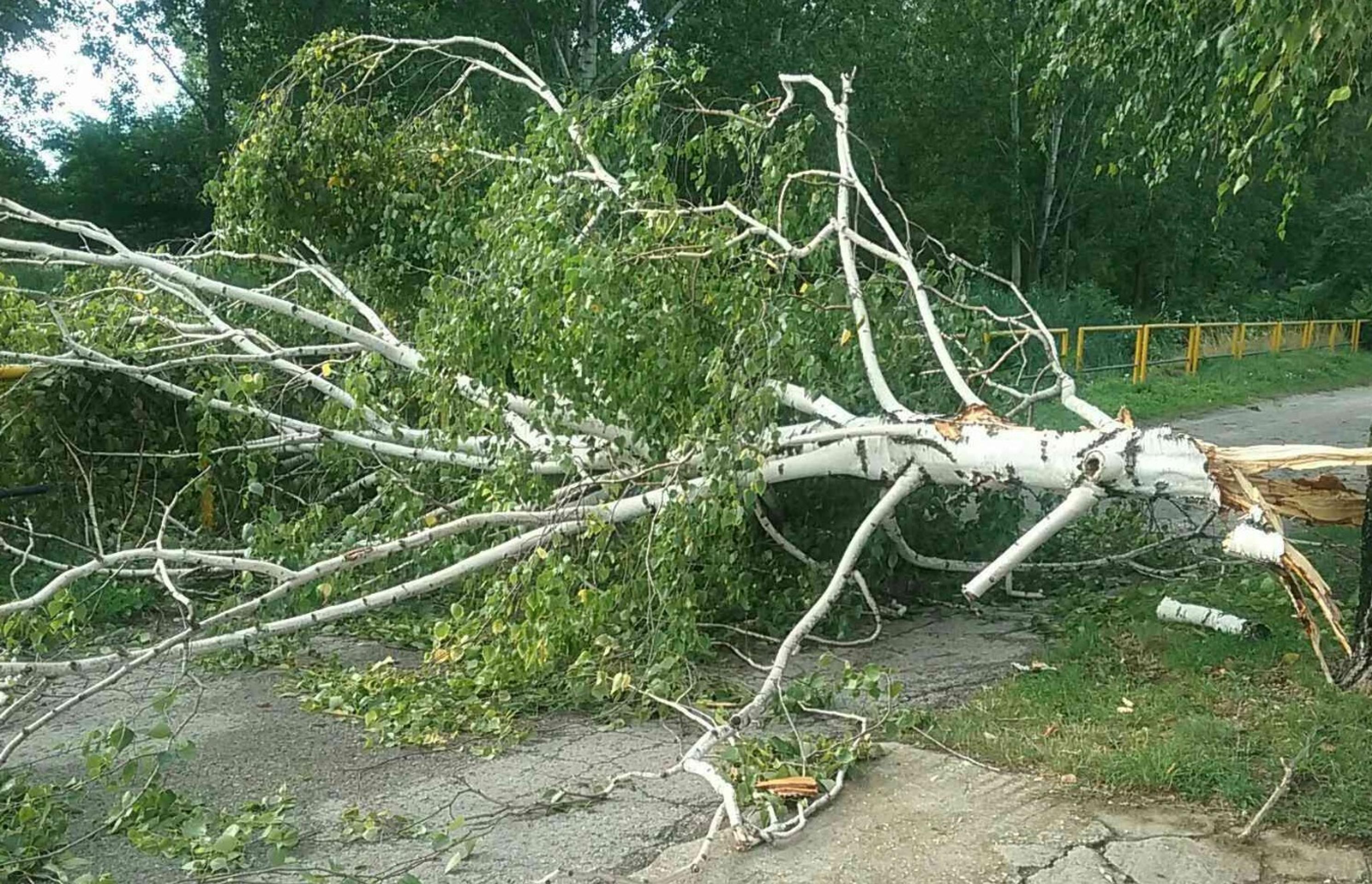 Budúci bývalí manželia zostali priateľmi. 