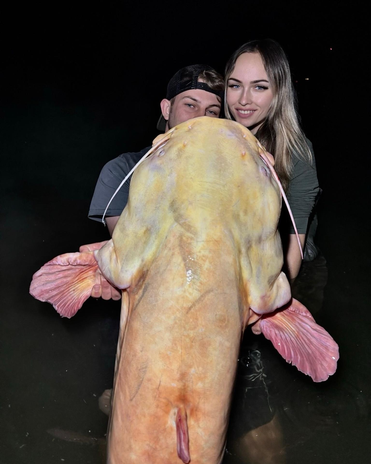 Český rybár chytil sumca albína s dĺžkou 215 centimetrov.