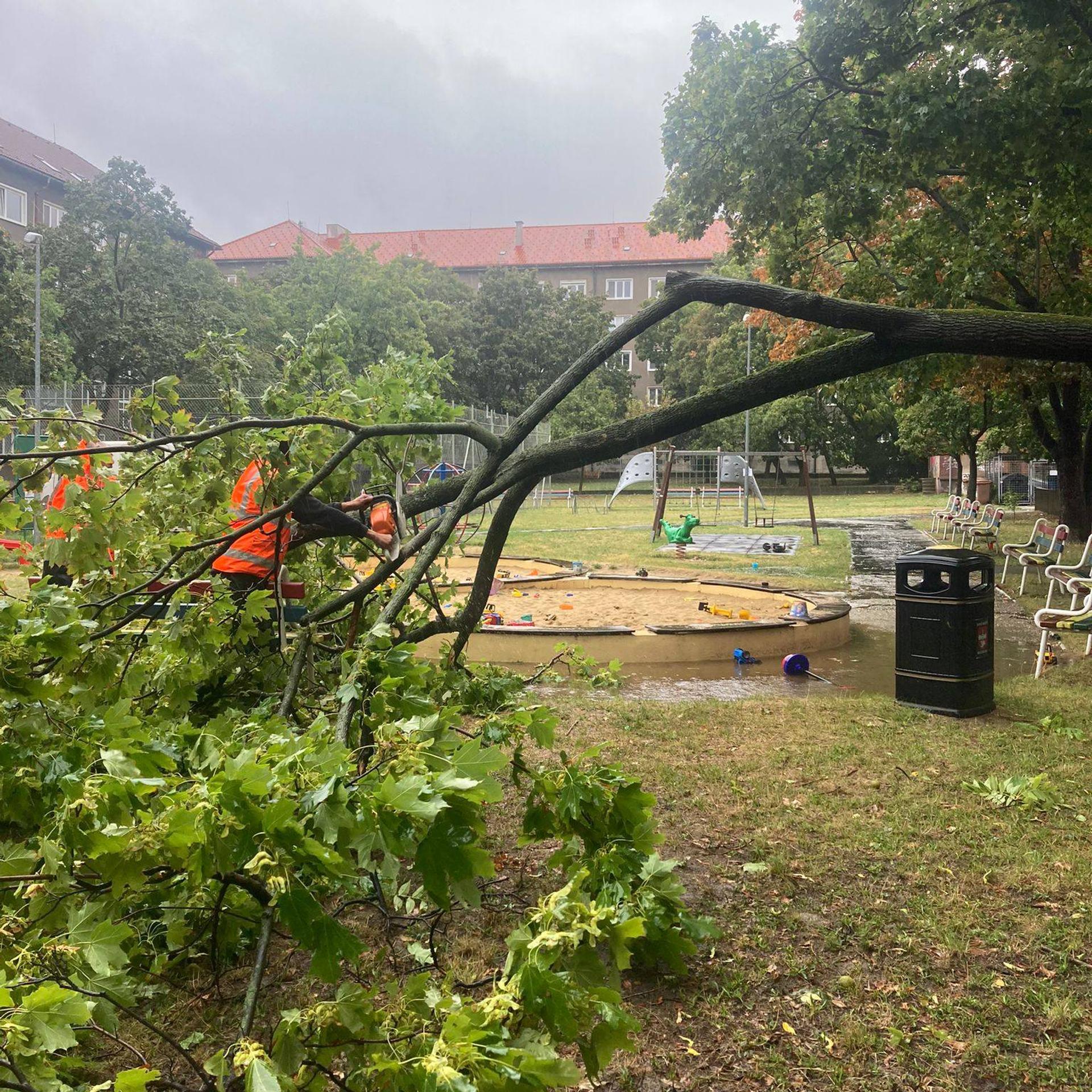 Popadané stromy v bratislavskom Novom Meste.