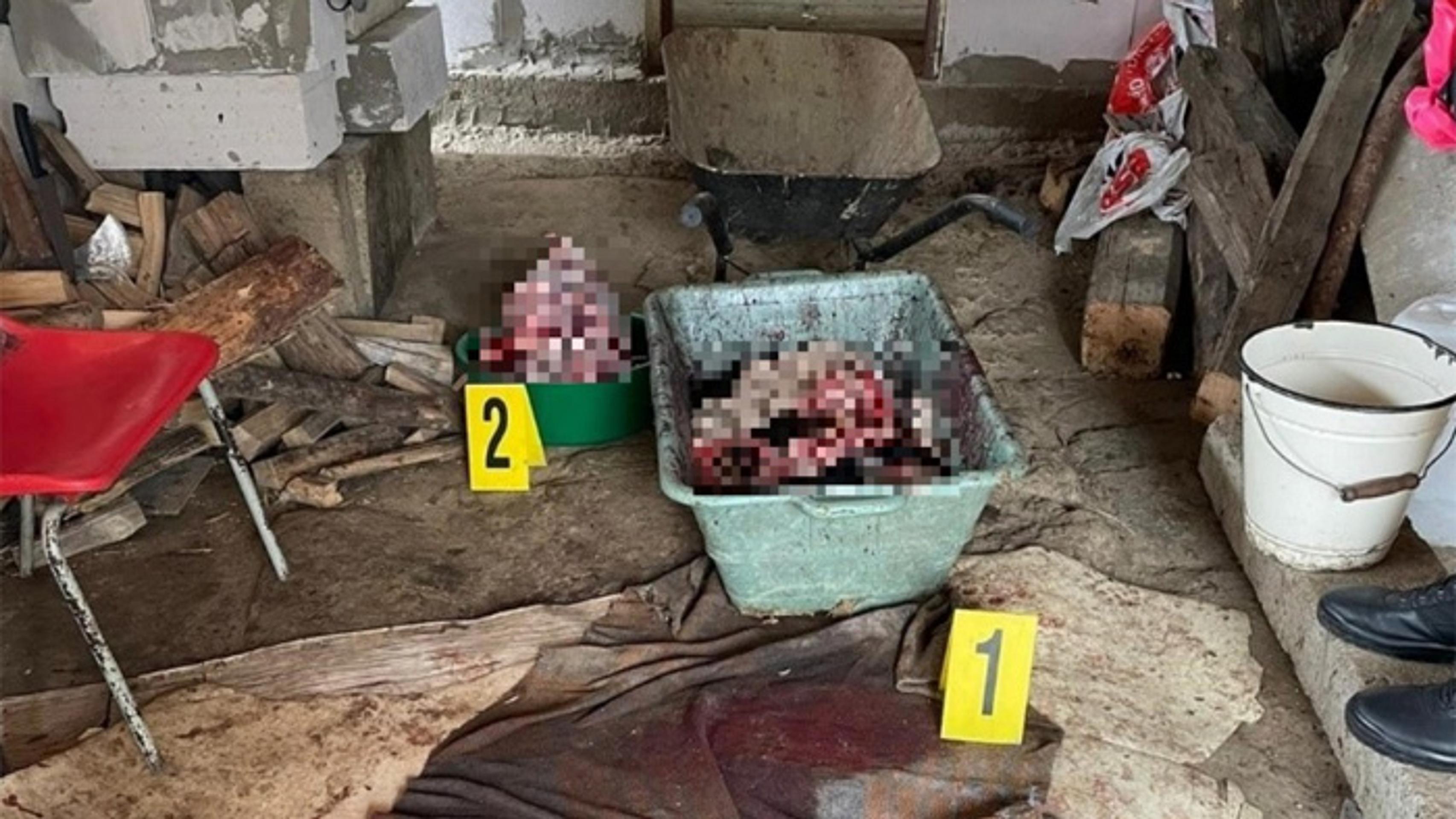 Muž zabil a rozporcoval päť psov.