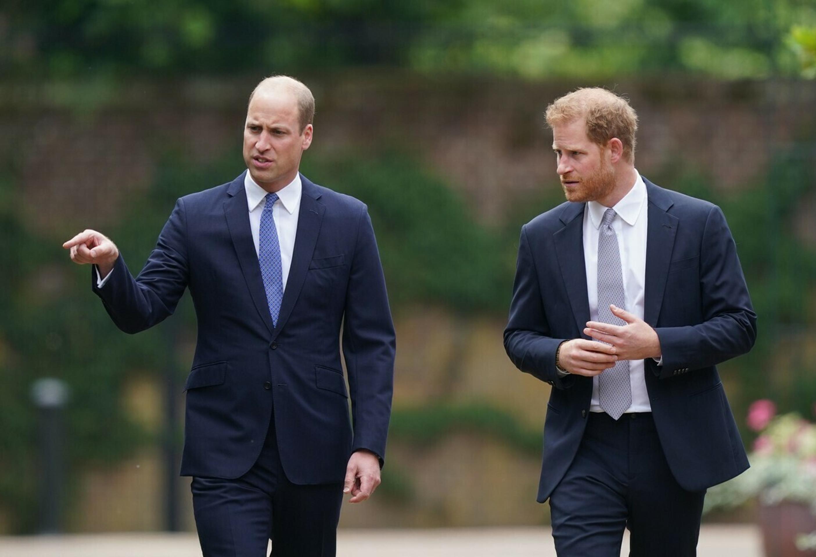 Princovia Harry a William