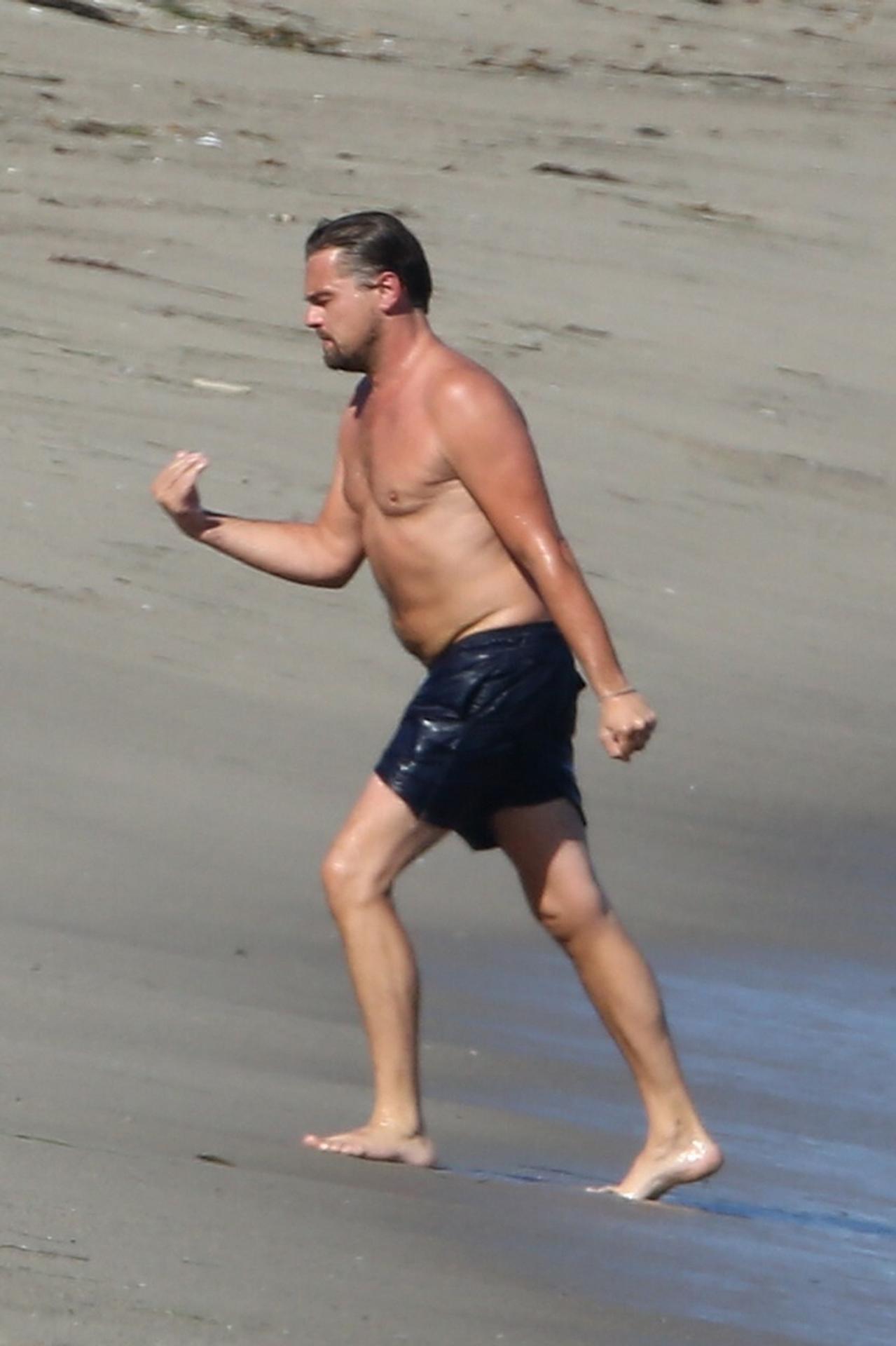 Leonardo DiCaprio