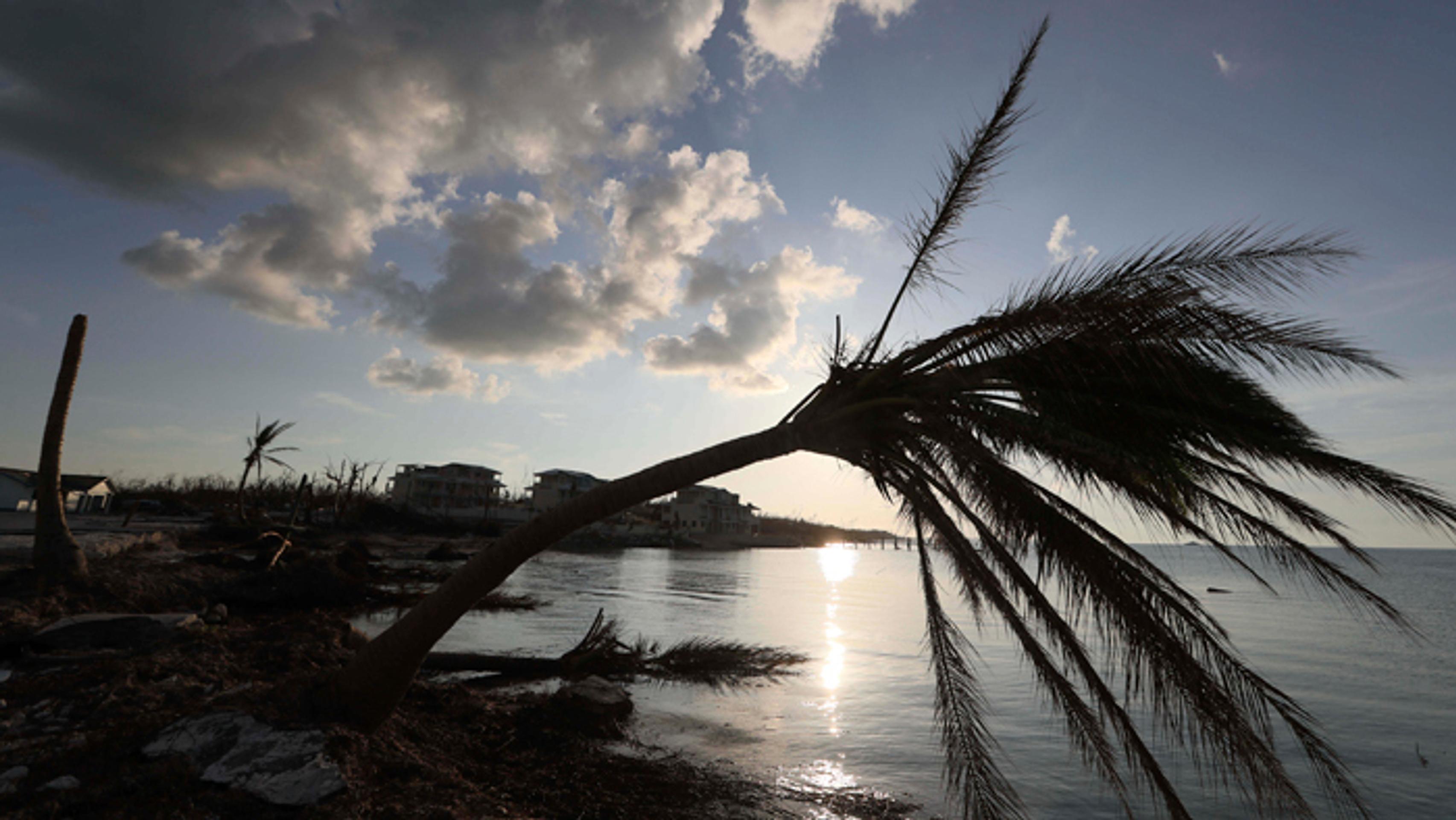 19_brixova_tvnoviny.mp4