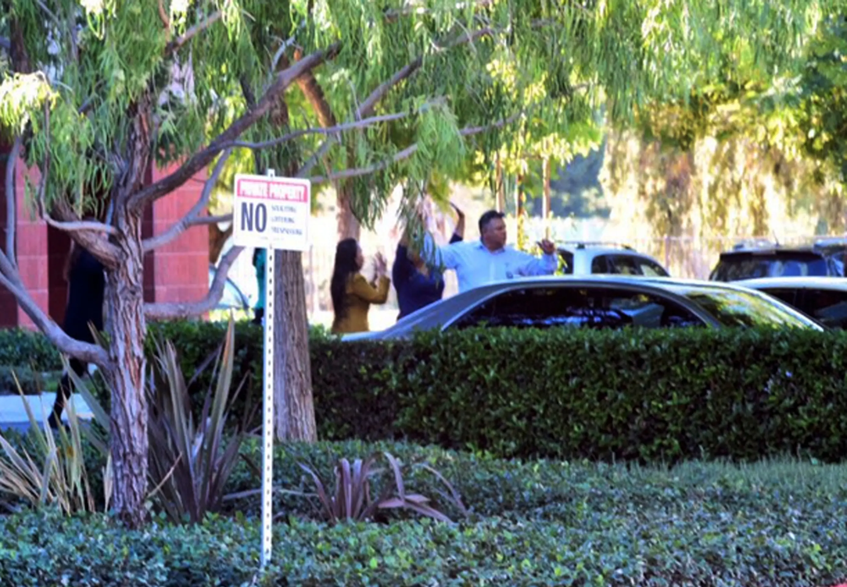 California_Shootings098528306181.jpg