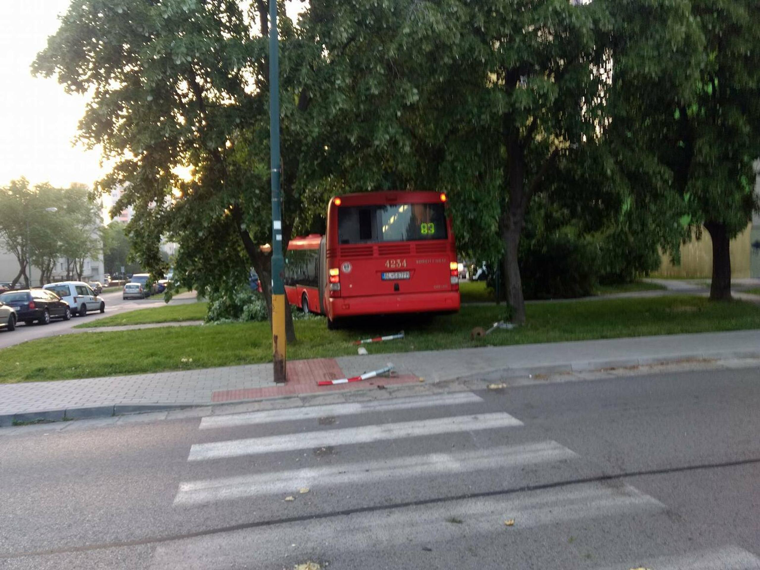 Autobus bez kontroly zastavili až stromy.