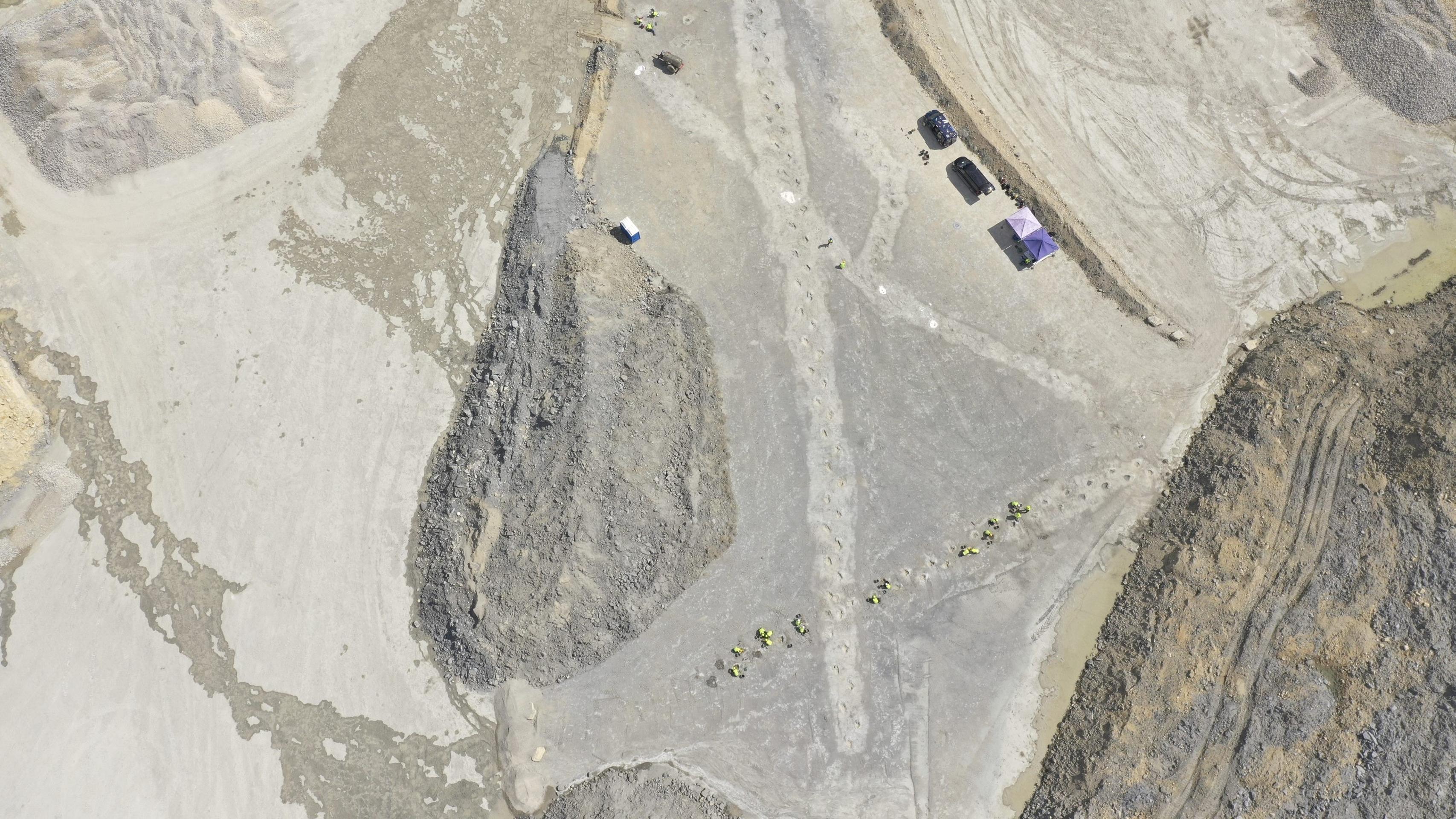 V Anglicku objavili stopy dinosaurov