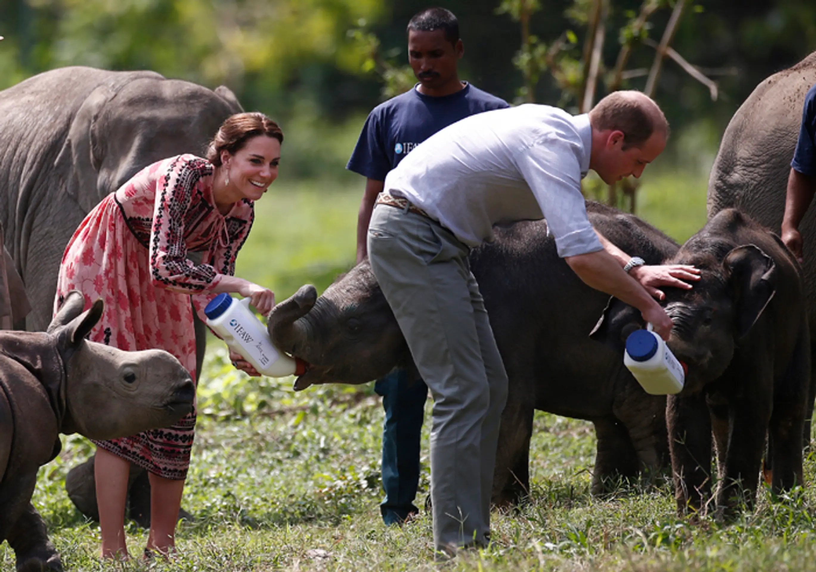 Kate a William kŕmia nosorožce a slony v národnom parku Kaziranga.