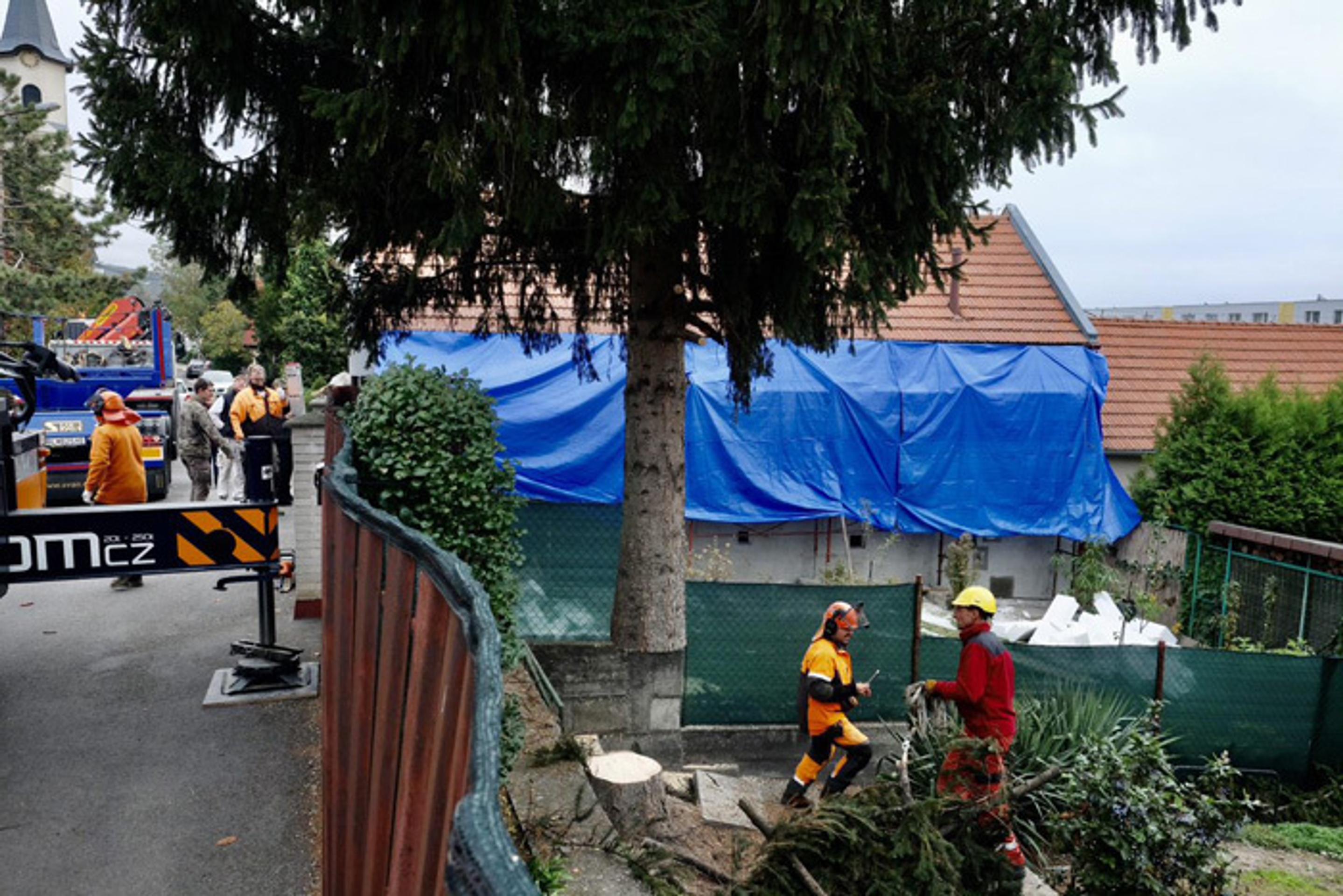 Osadený vianočný stromček na Hlavnom námestí.