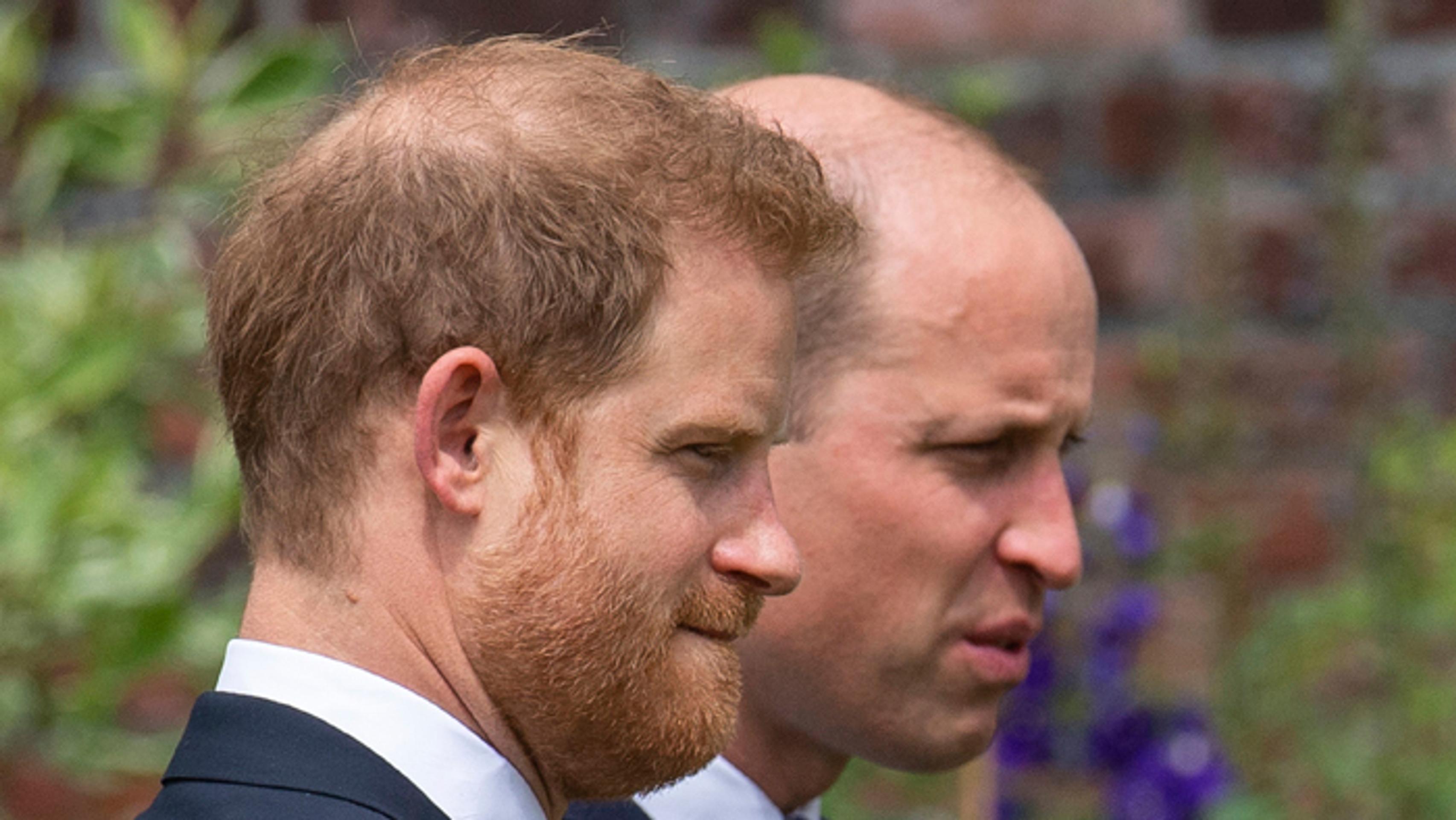 Britskí princovia Harry a William.