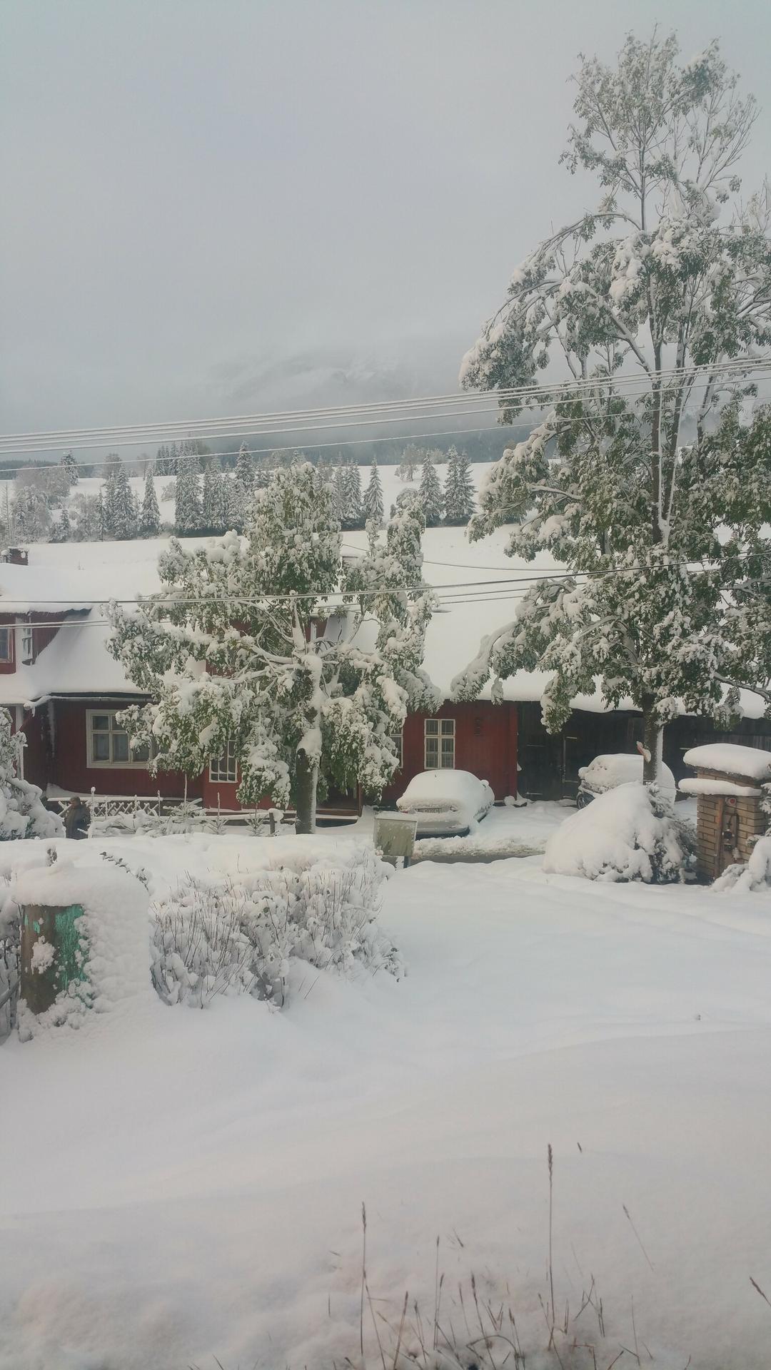 Ždiar - Belianske Tatry 