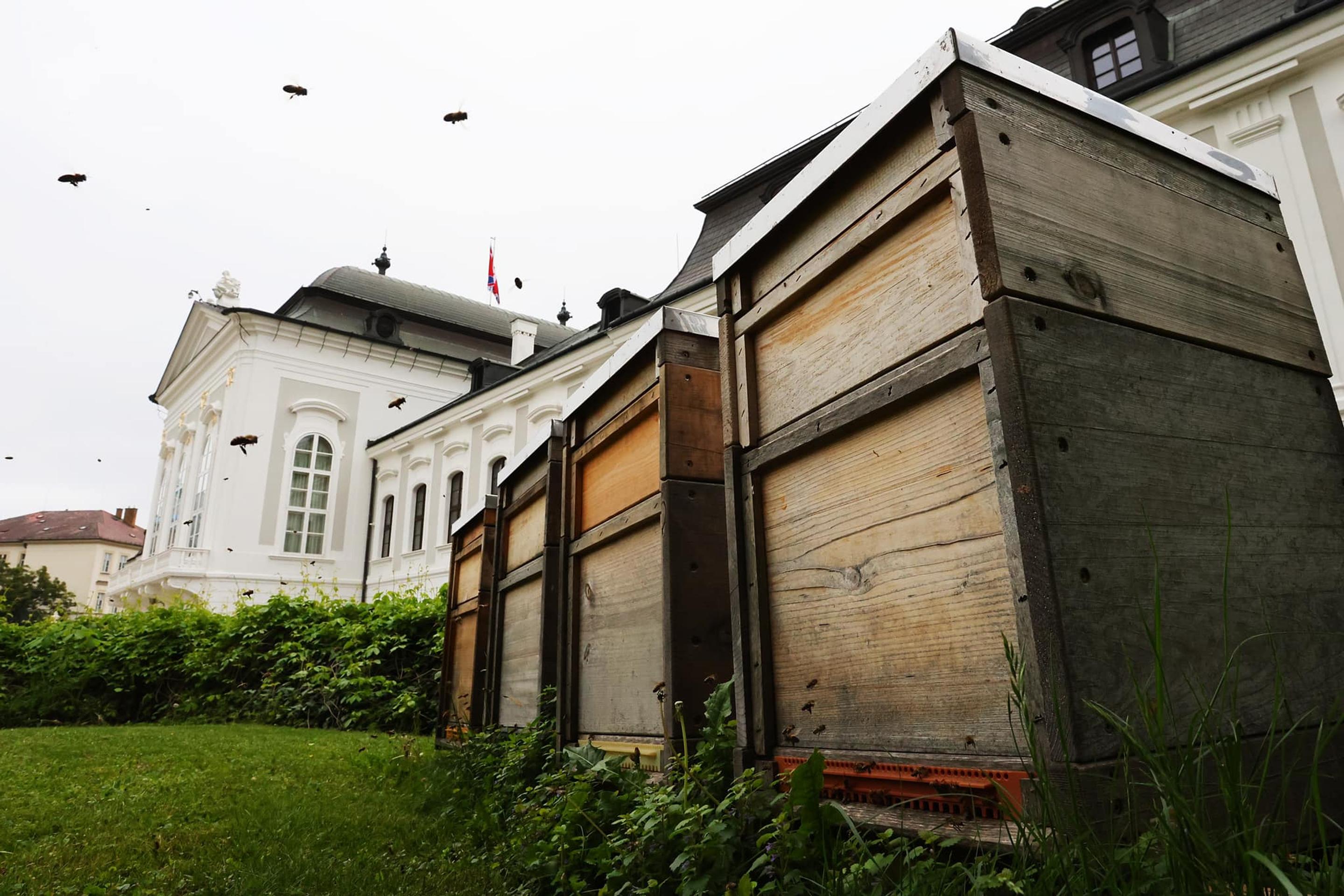 Štyri včelie rodiny v Prezidentskom paláci