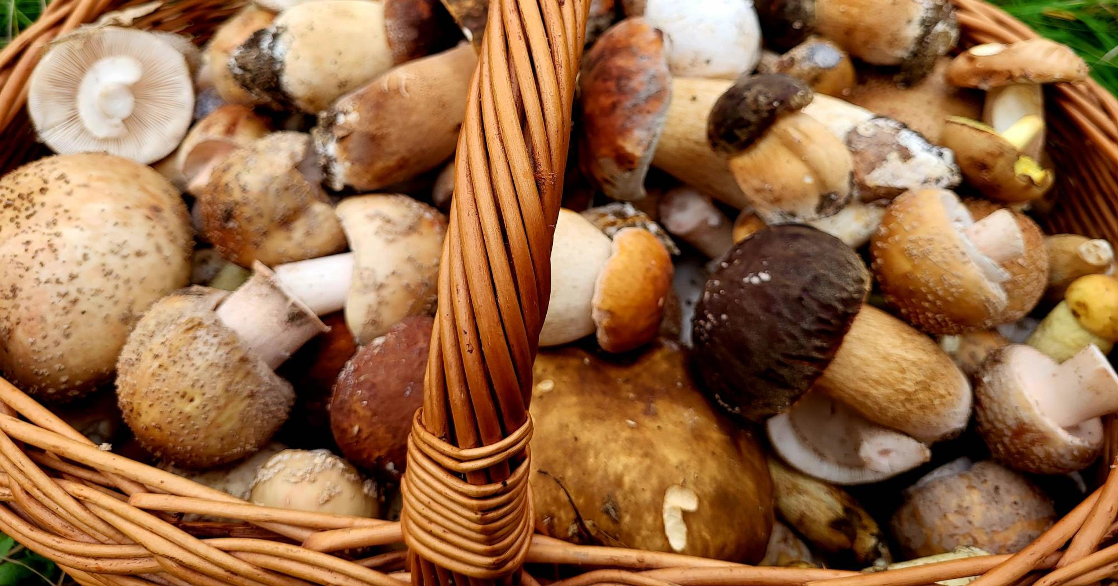 Jozef z Bánoviec nad Bebravou