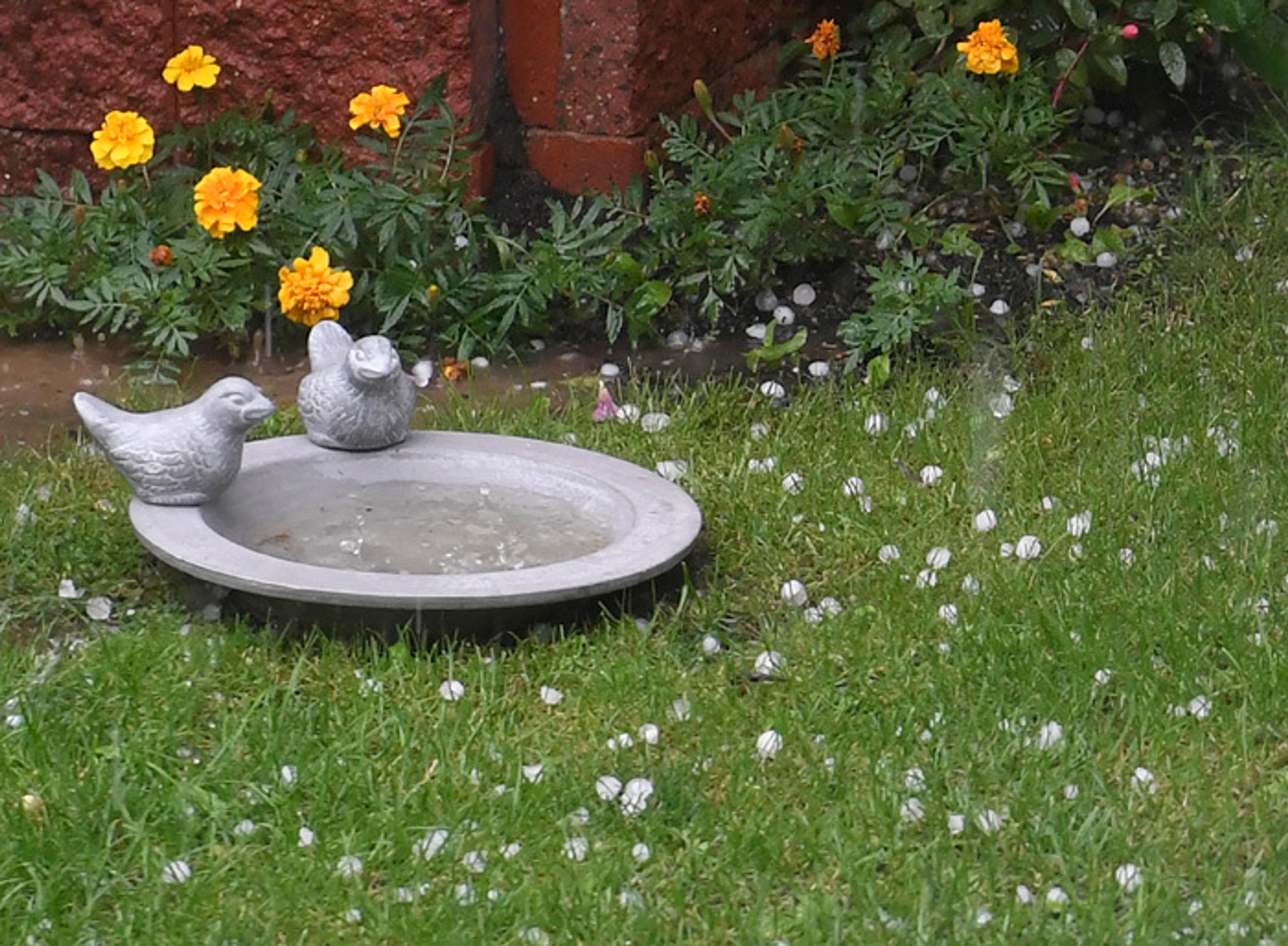 Tenista Kevin Anderson v 1. kole Wimbledonu.