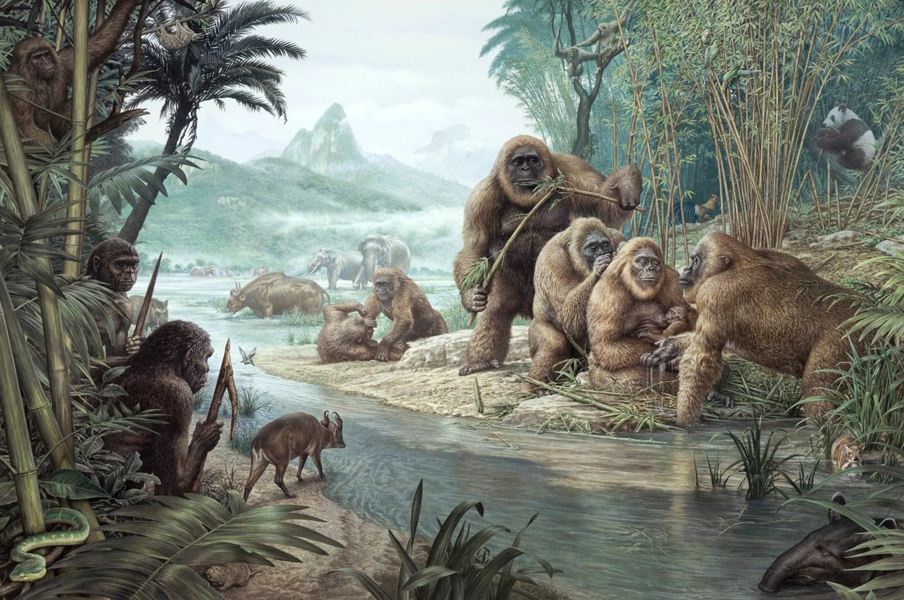Gigantopithecus - umelecká predstava.