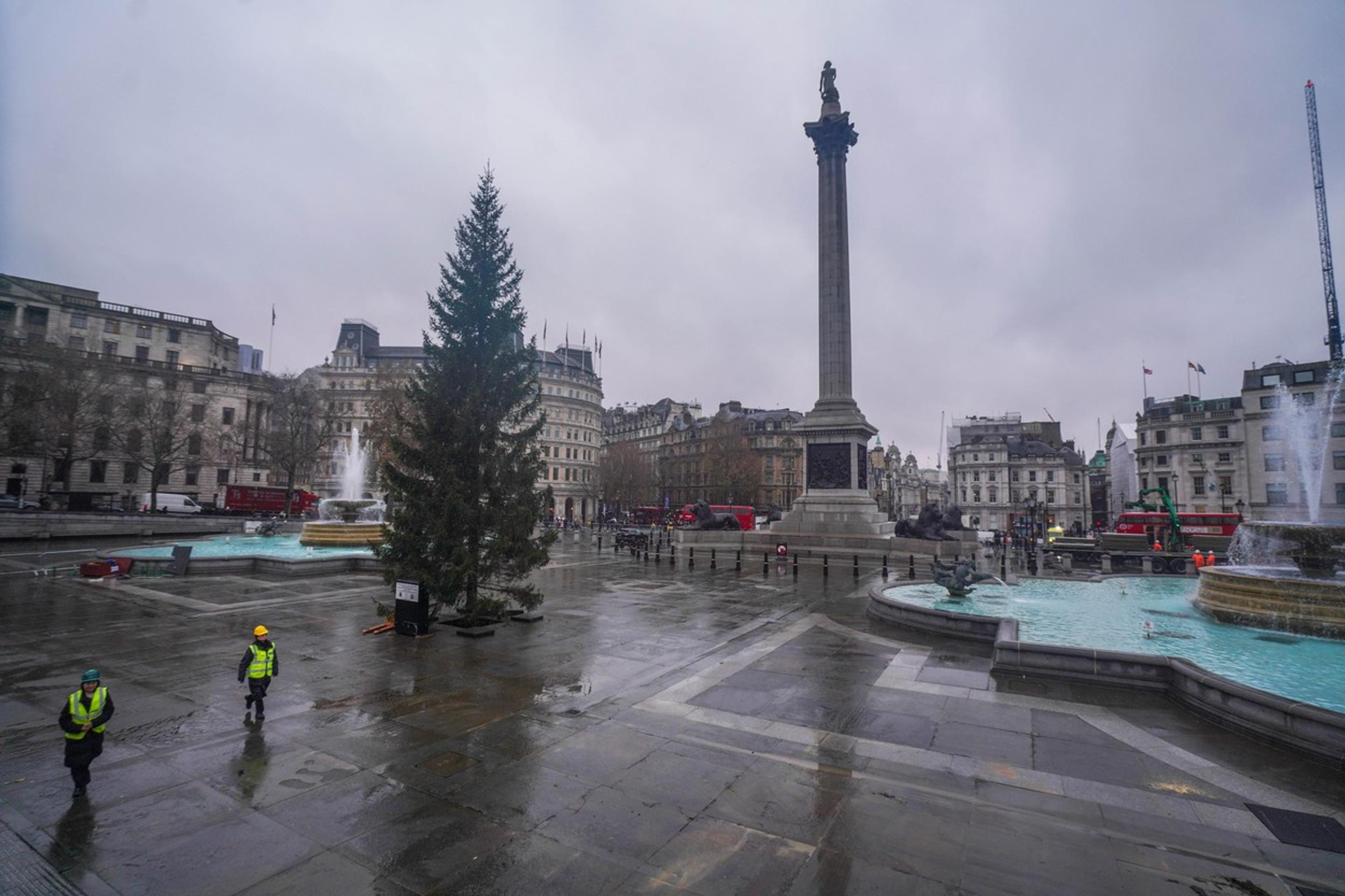 Vianočný strom na Trafalgarskom námestí.
