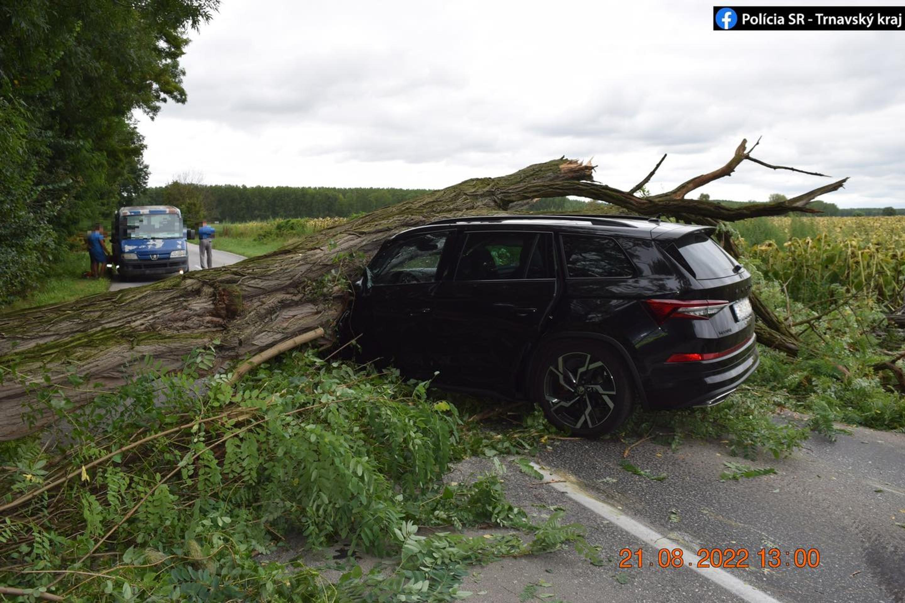Na idúce auto spadol strom.
