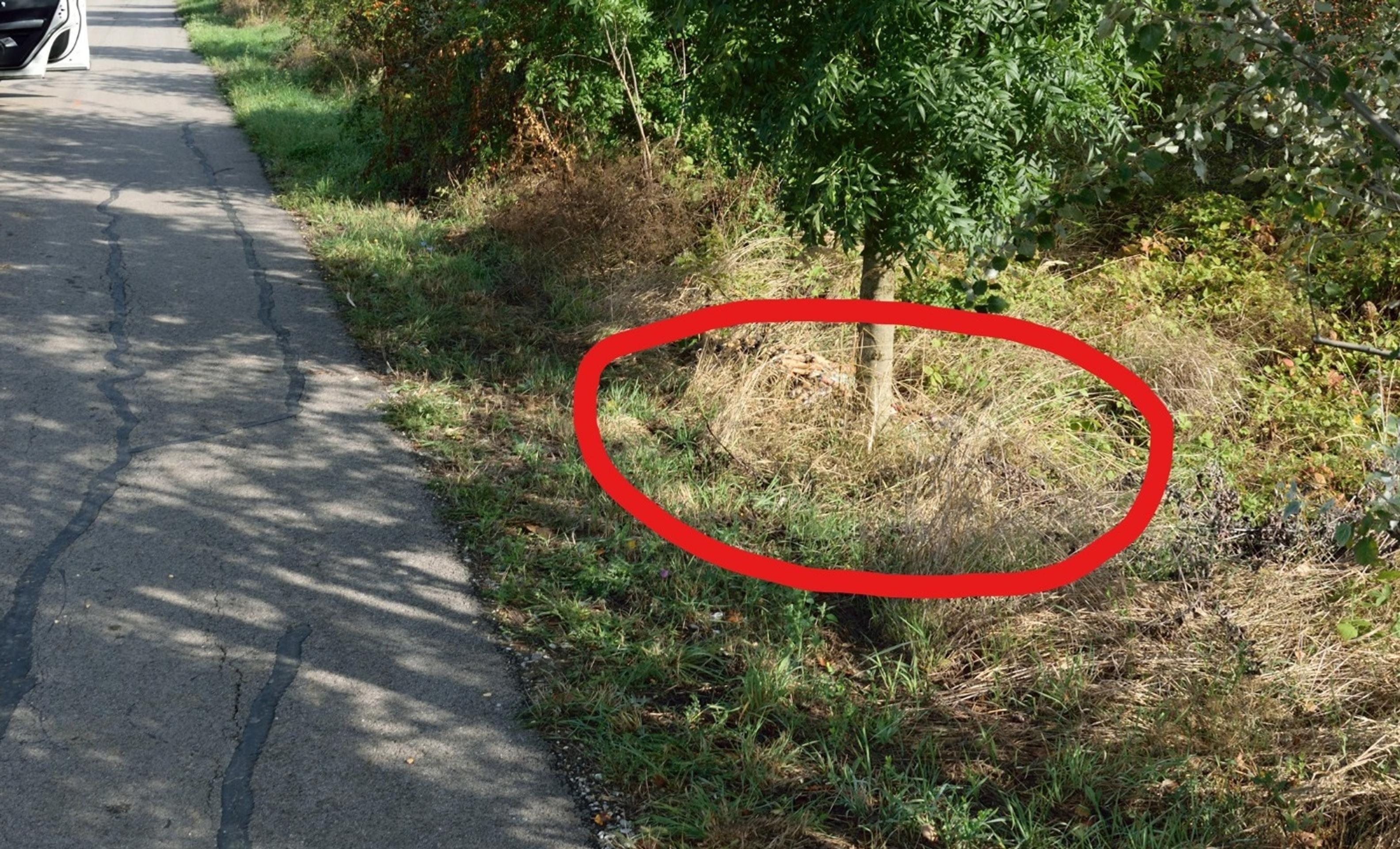 Rasťo Mojsej a Rado Dulin