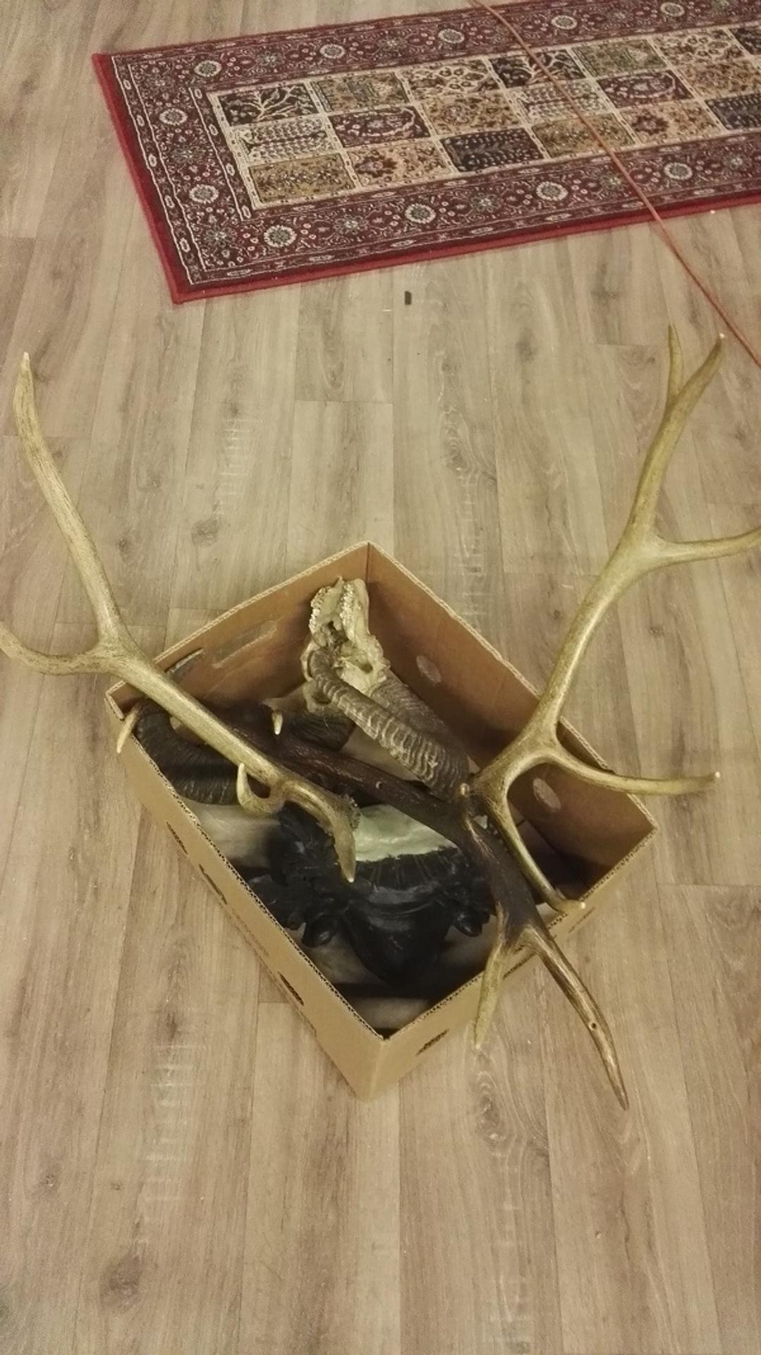 Stavba kulís pre novú sériu Susedov