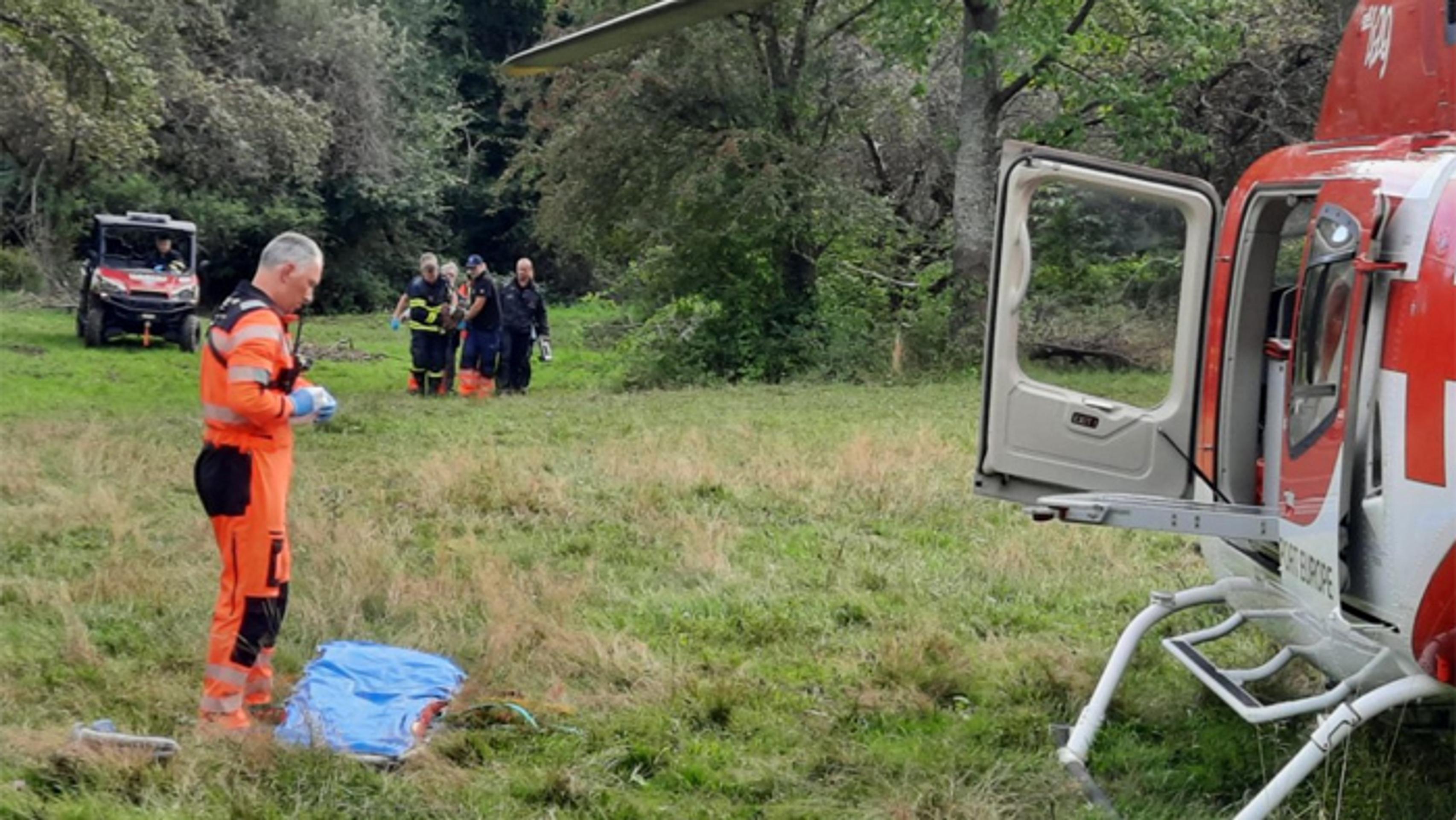 Na ženu zaútočil medveď, ratovali ju záchranári.