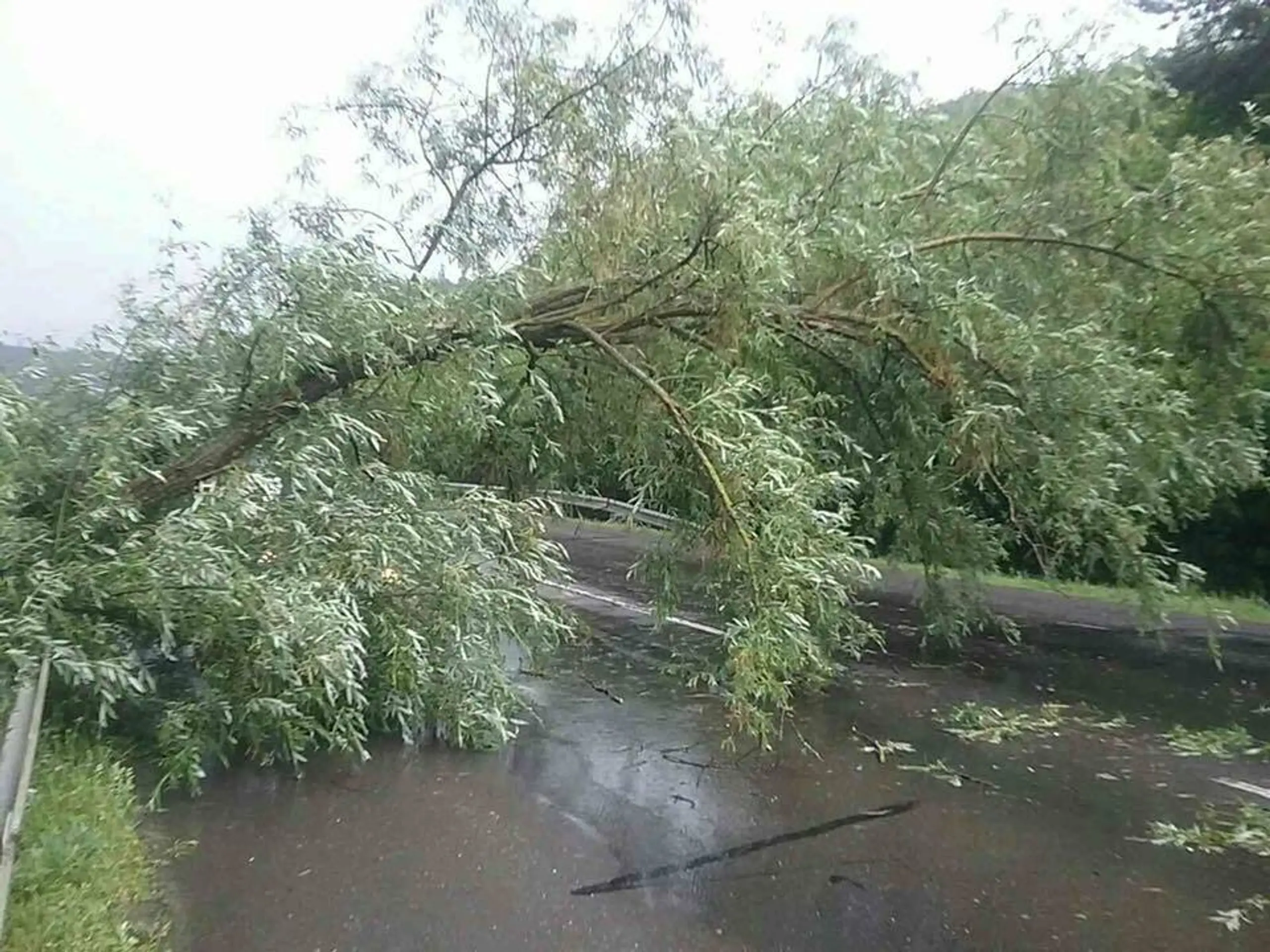 Pozorujte kométu.