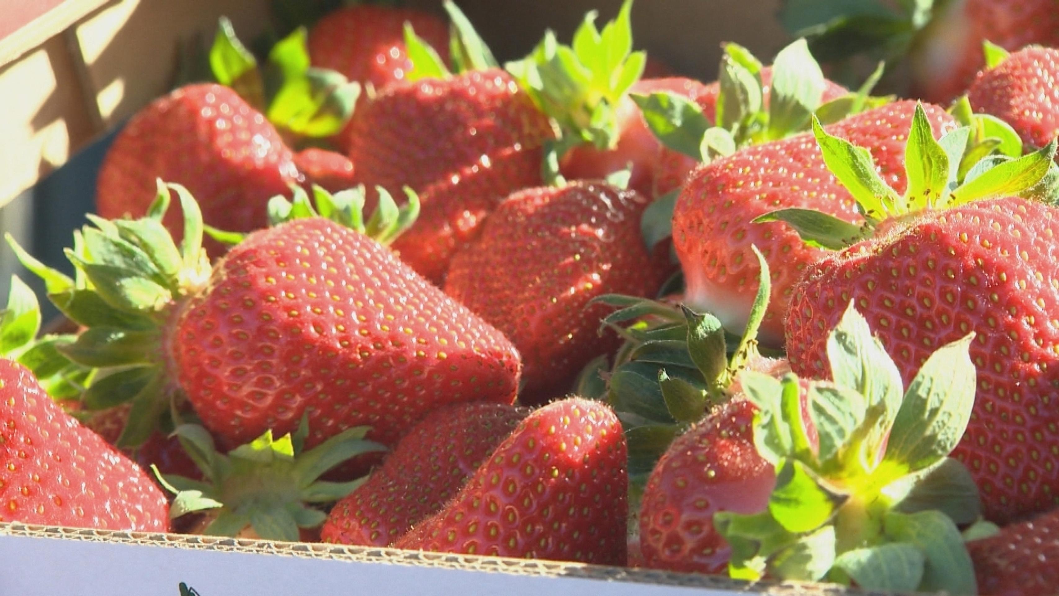 Taxikárka z Trebišova pripravuje vozidlo pre zákazníkov.