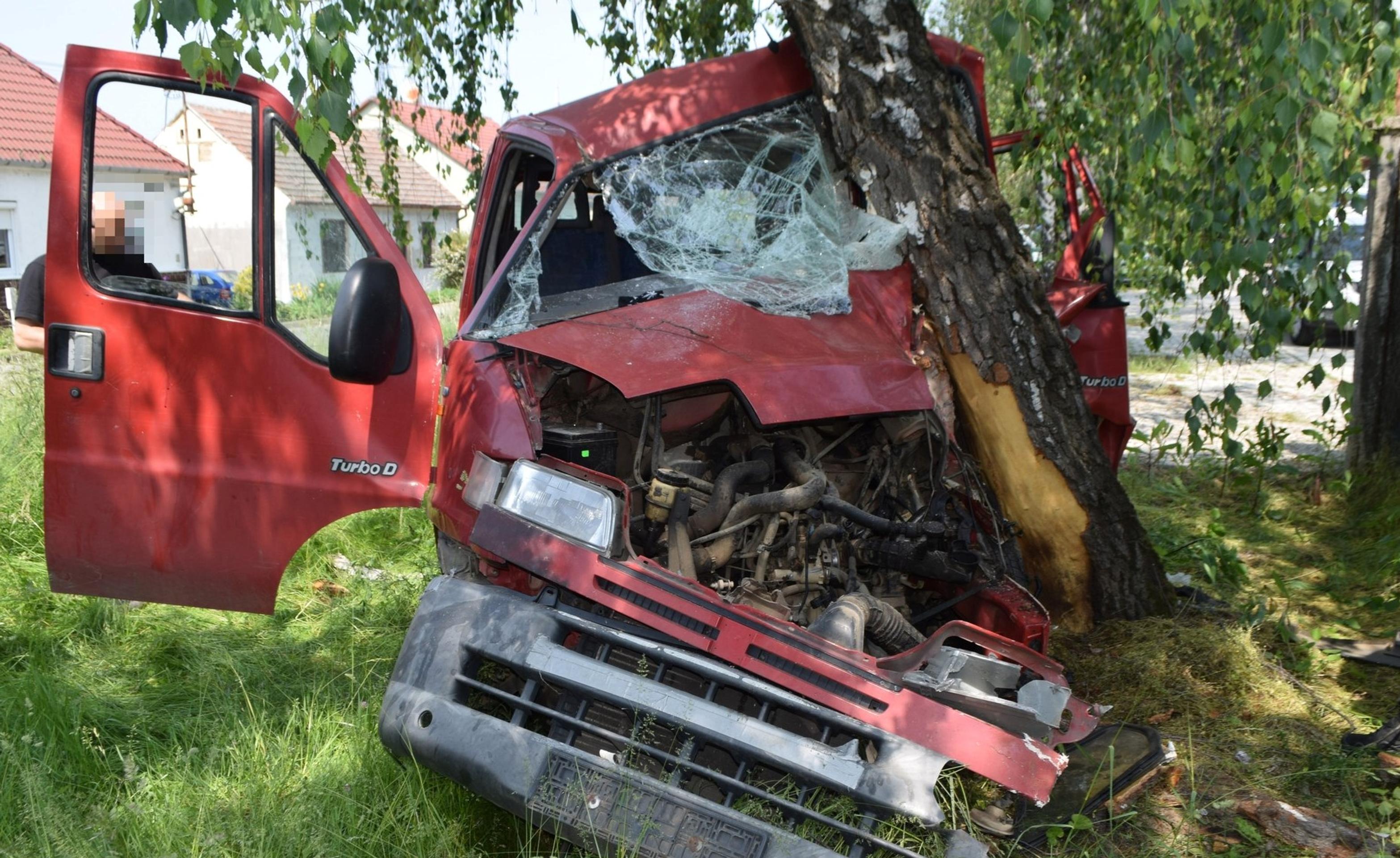 Dvaja muži narazili do stromu. Jeden nafúkal, druhý ušiel.