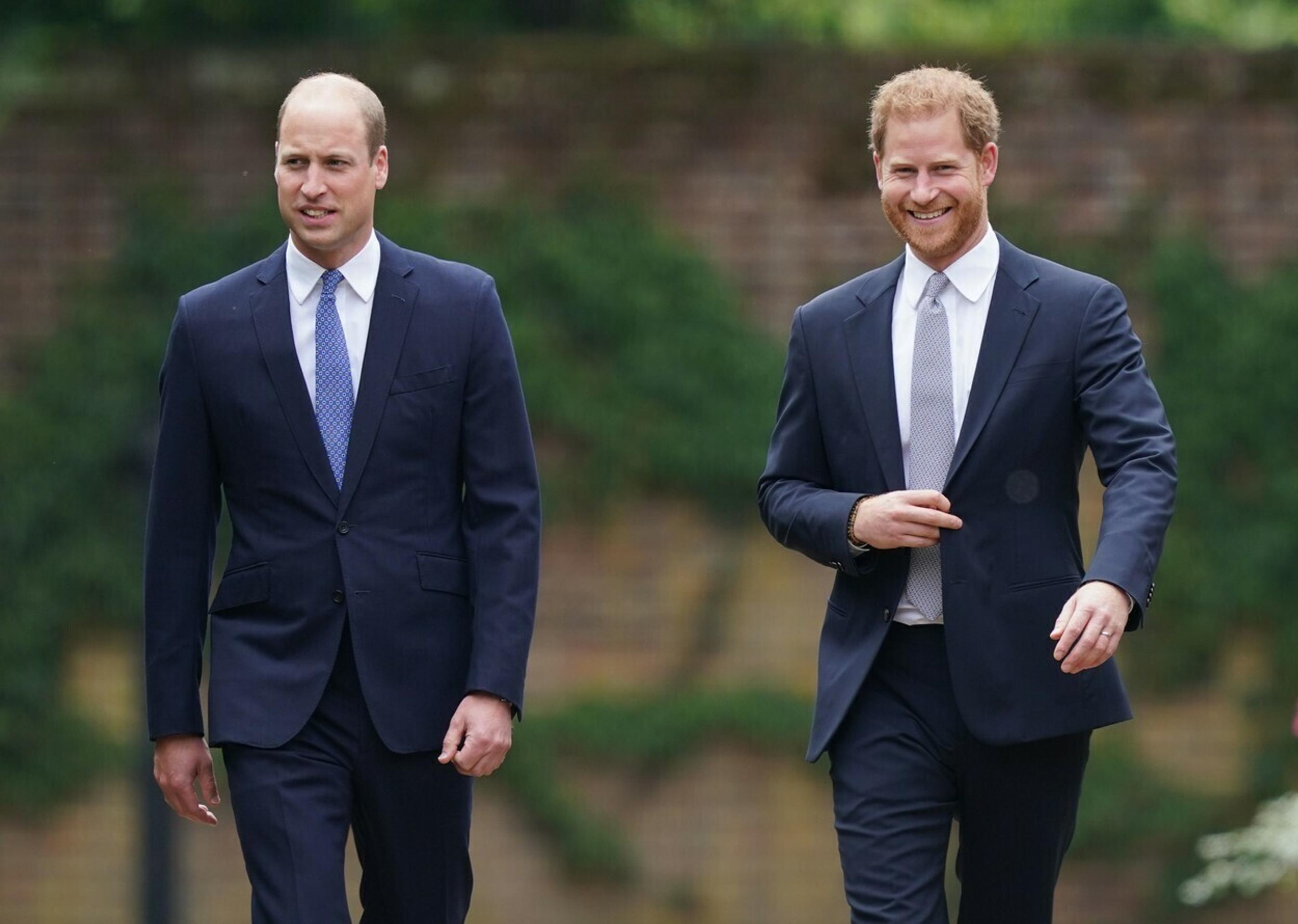 Princovia Harry a William