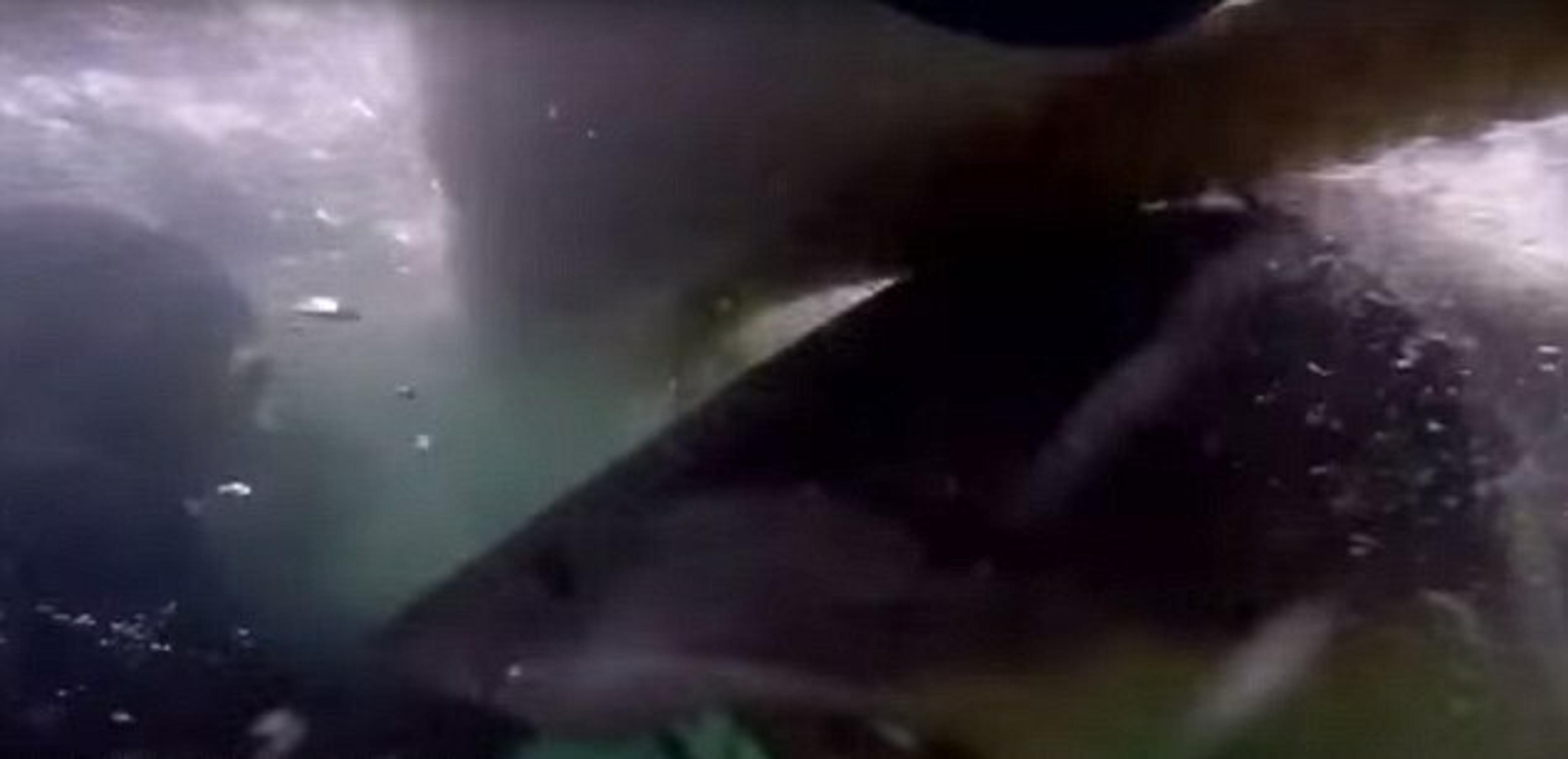 Zážitok, na ktorý tak ľahko nezabudnú. 