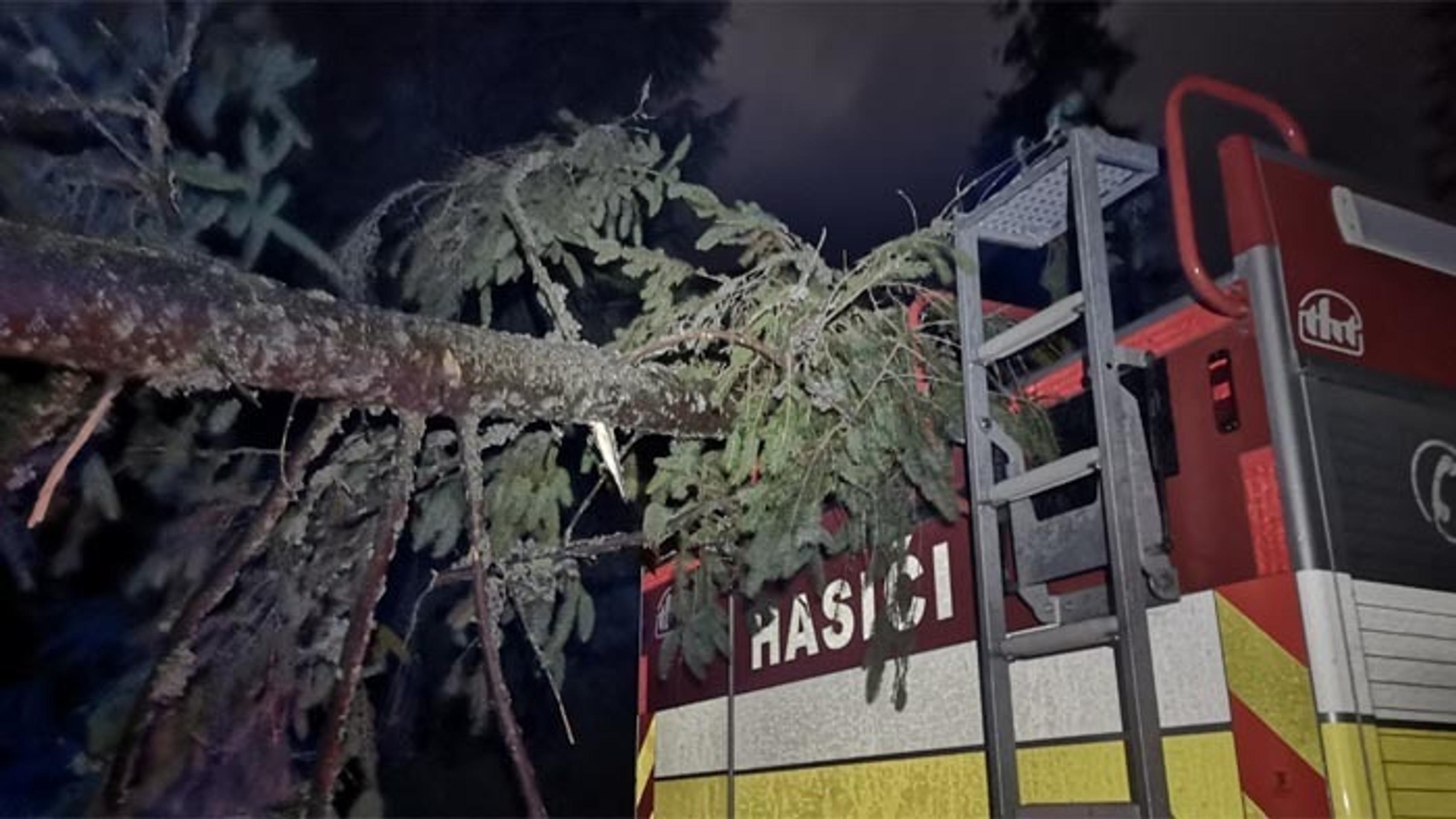 VID_20191112_215654.mp4