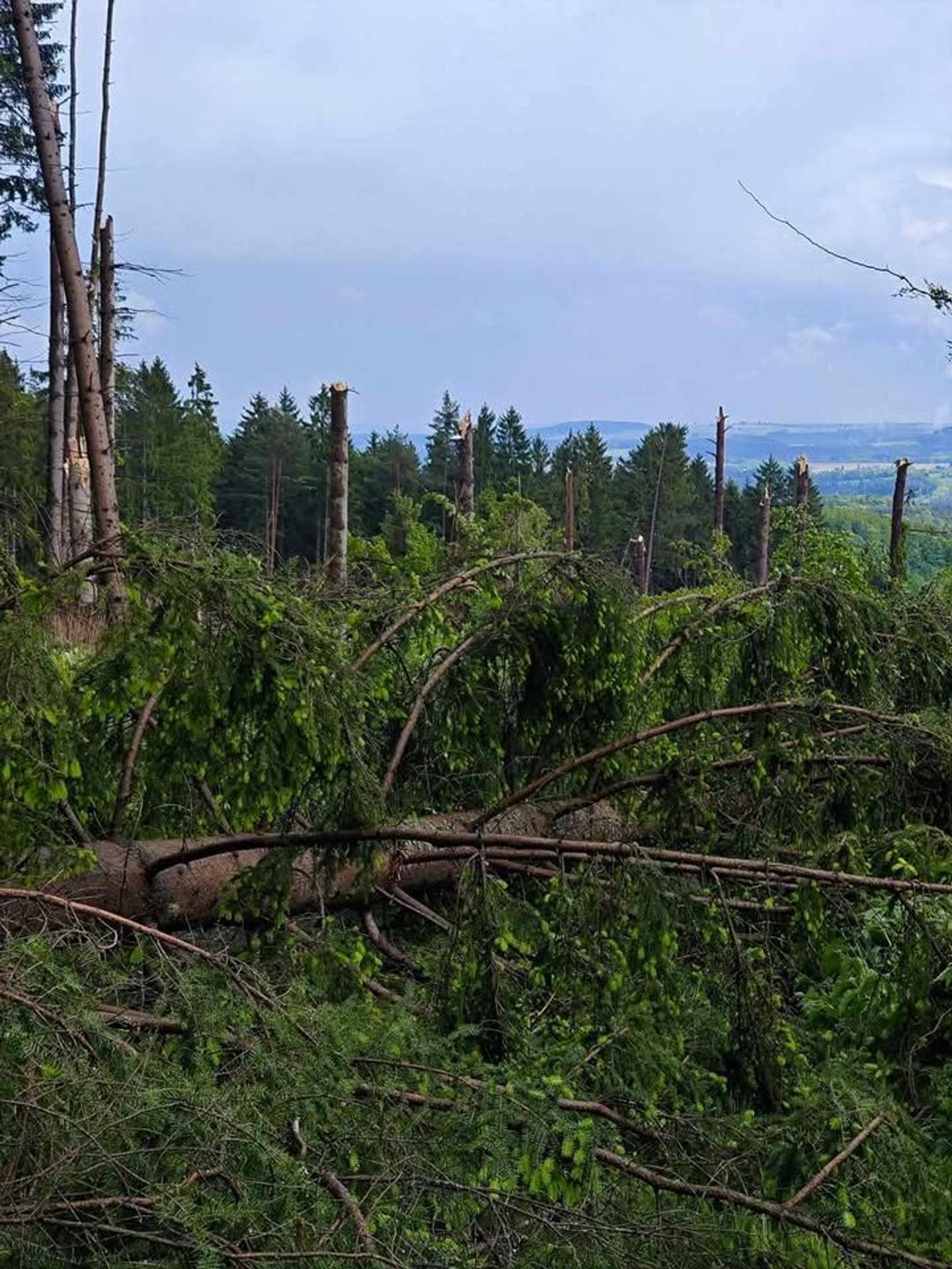 Južnými Čechami sa prehnalo tornádo.