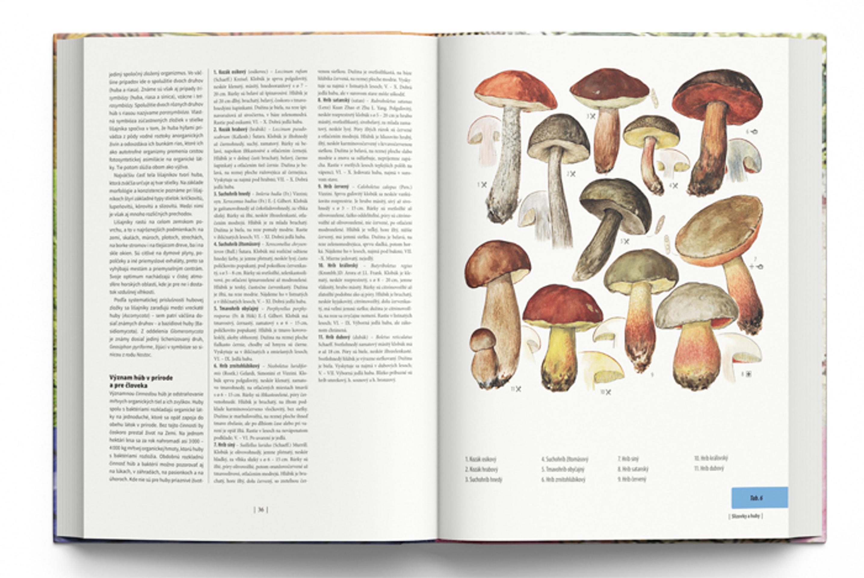 Otvorená Veľká kniha rastlín.