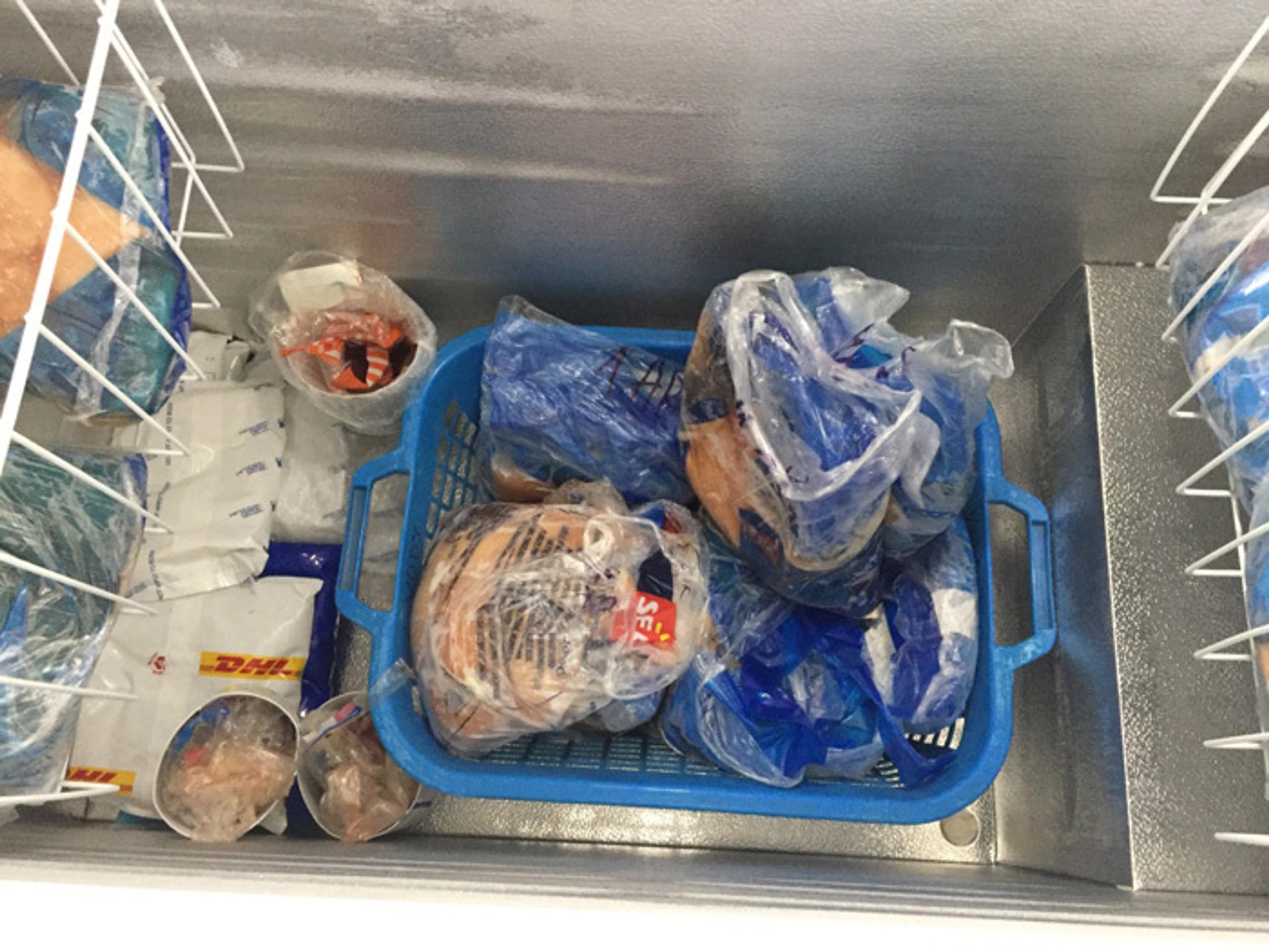 Mrazené vzorky mäsa dovezené z Brazílie.