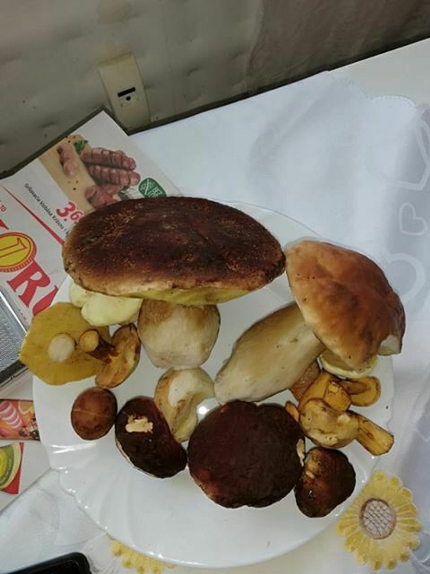 Hubársky úlovok od Ilavy.