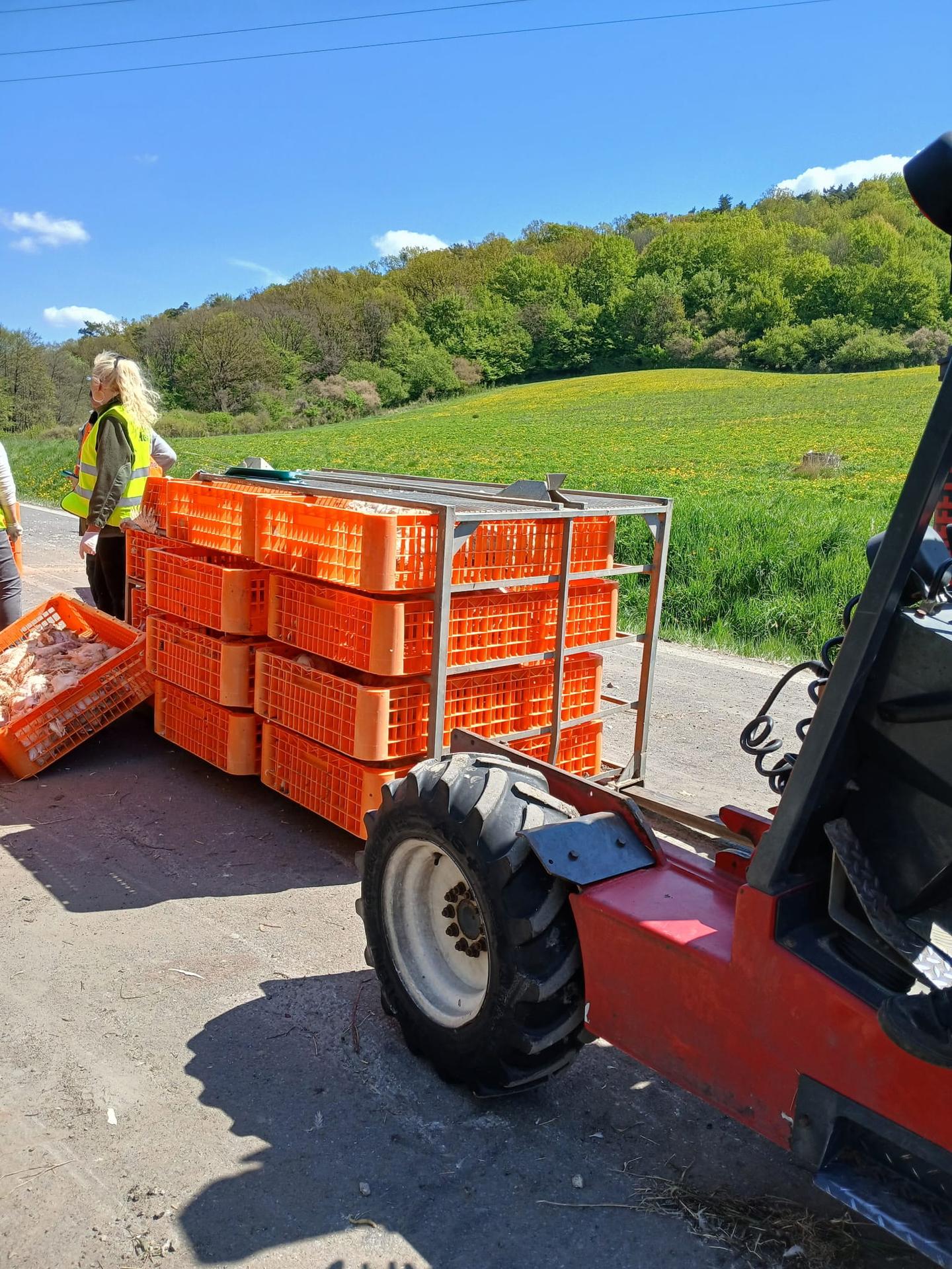 Prevrátený kamión plný hydiny.