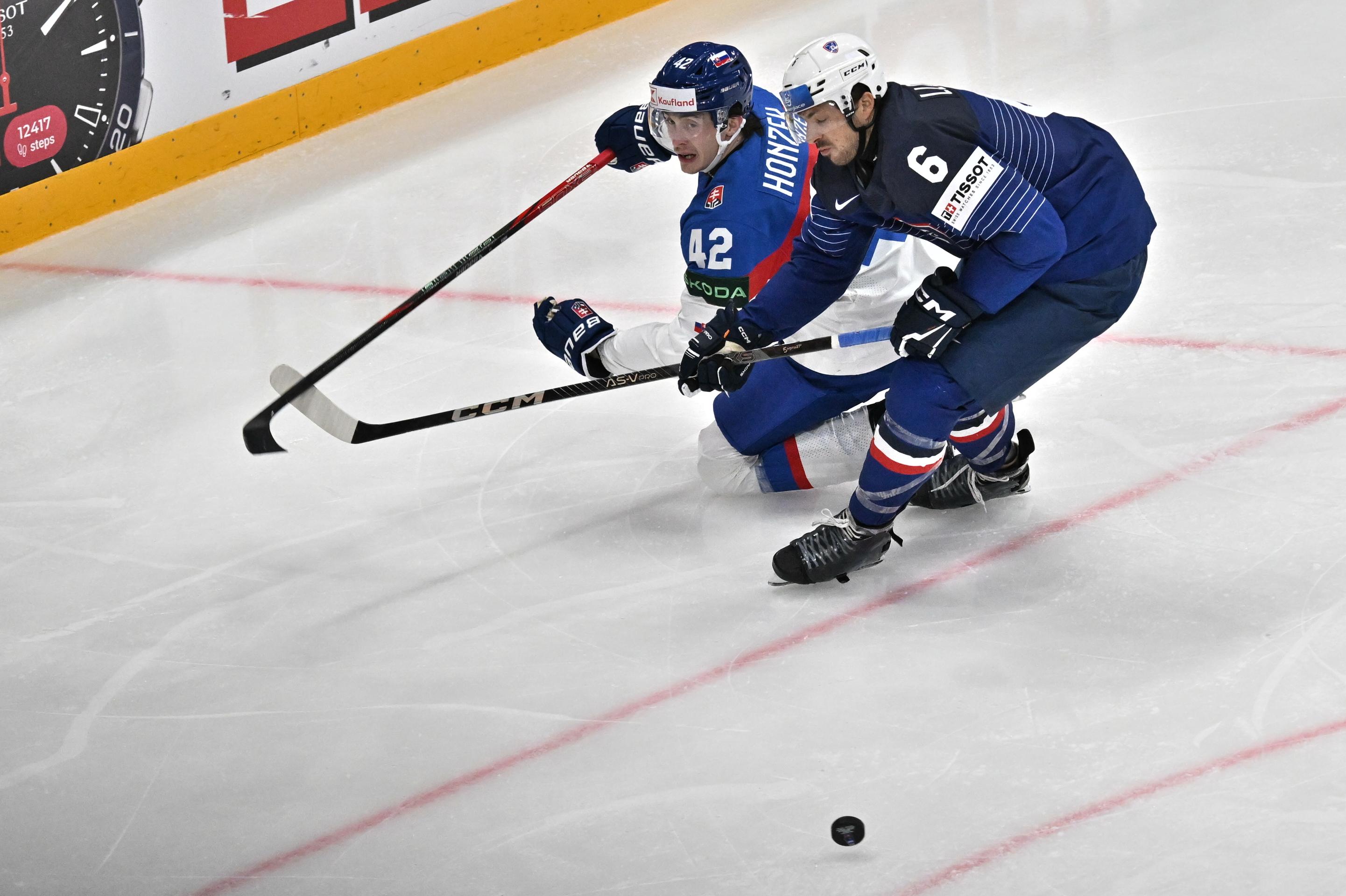 Slovensko - Francúzsko