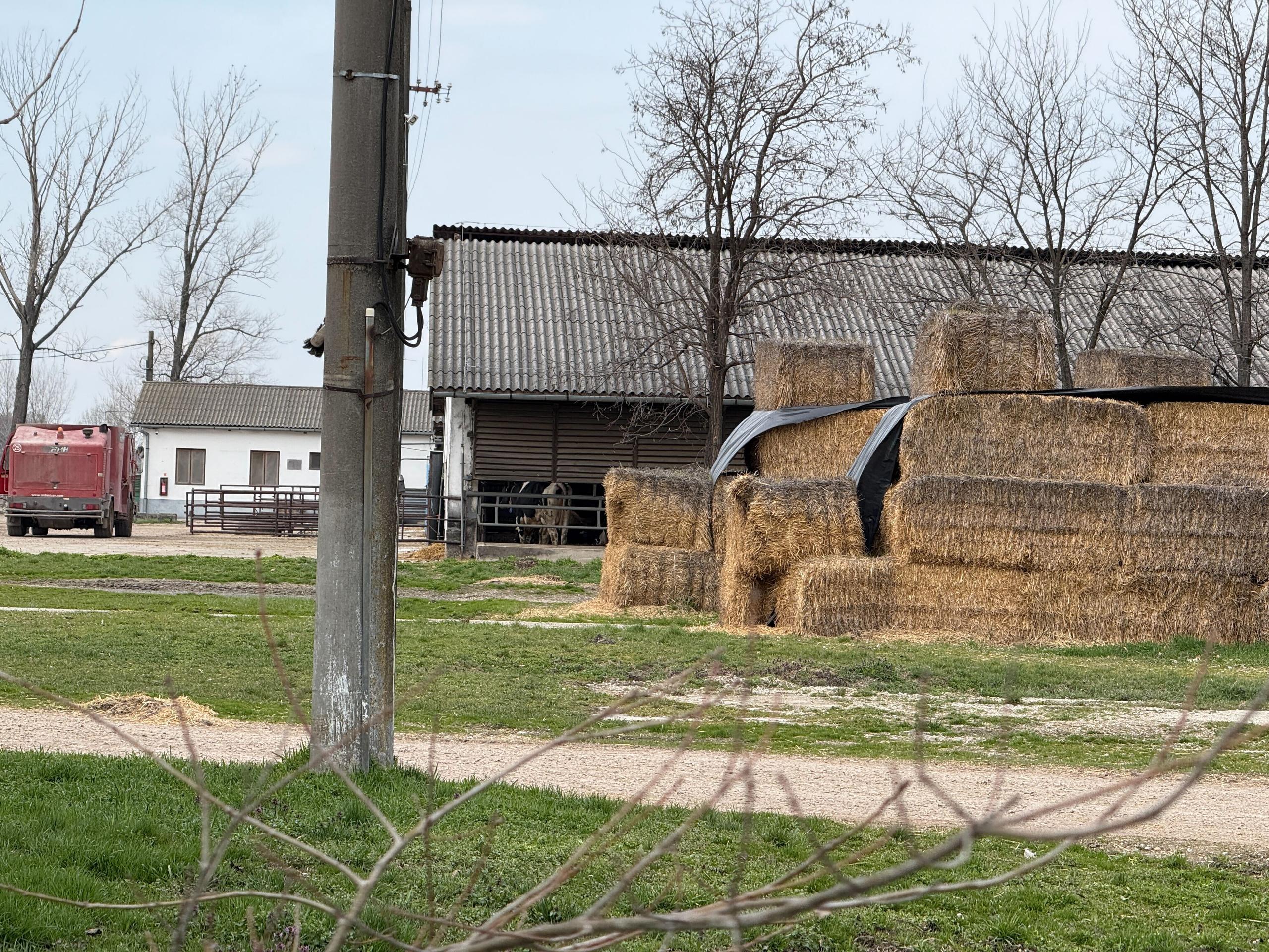 Farma v obci Ňárad