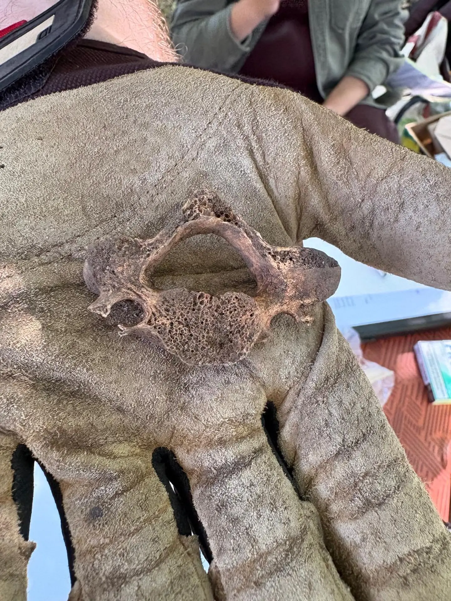 Archeologické nálezy na Stupavskej šibenici.