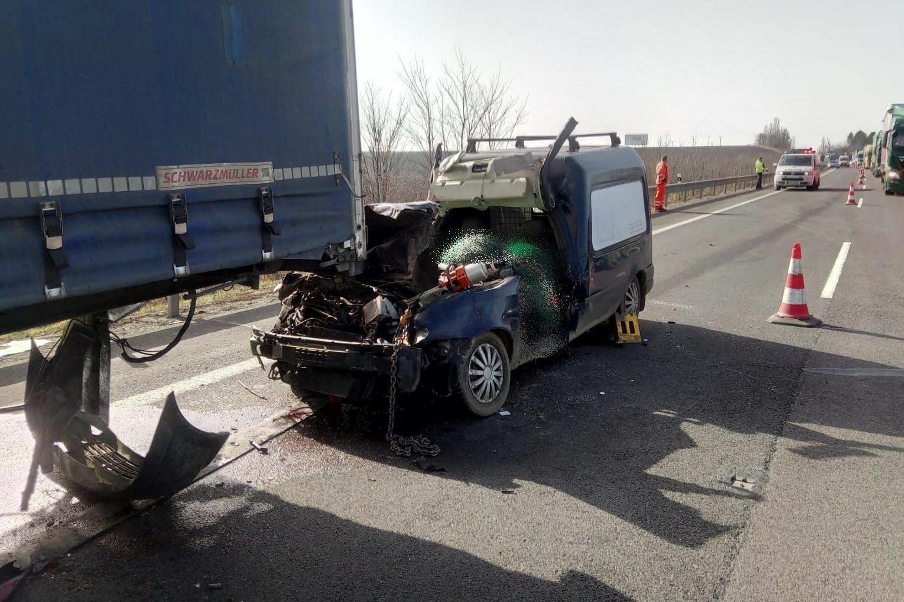 Ukradli psíkov Lady Gaga